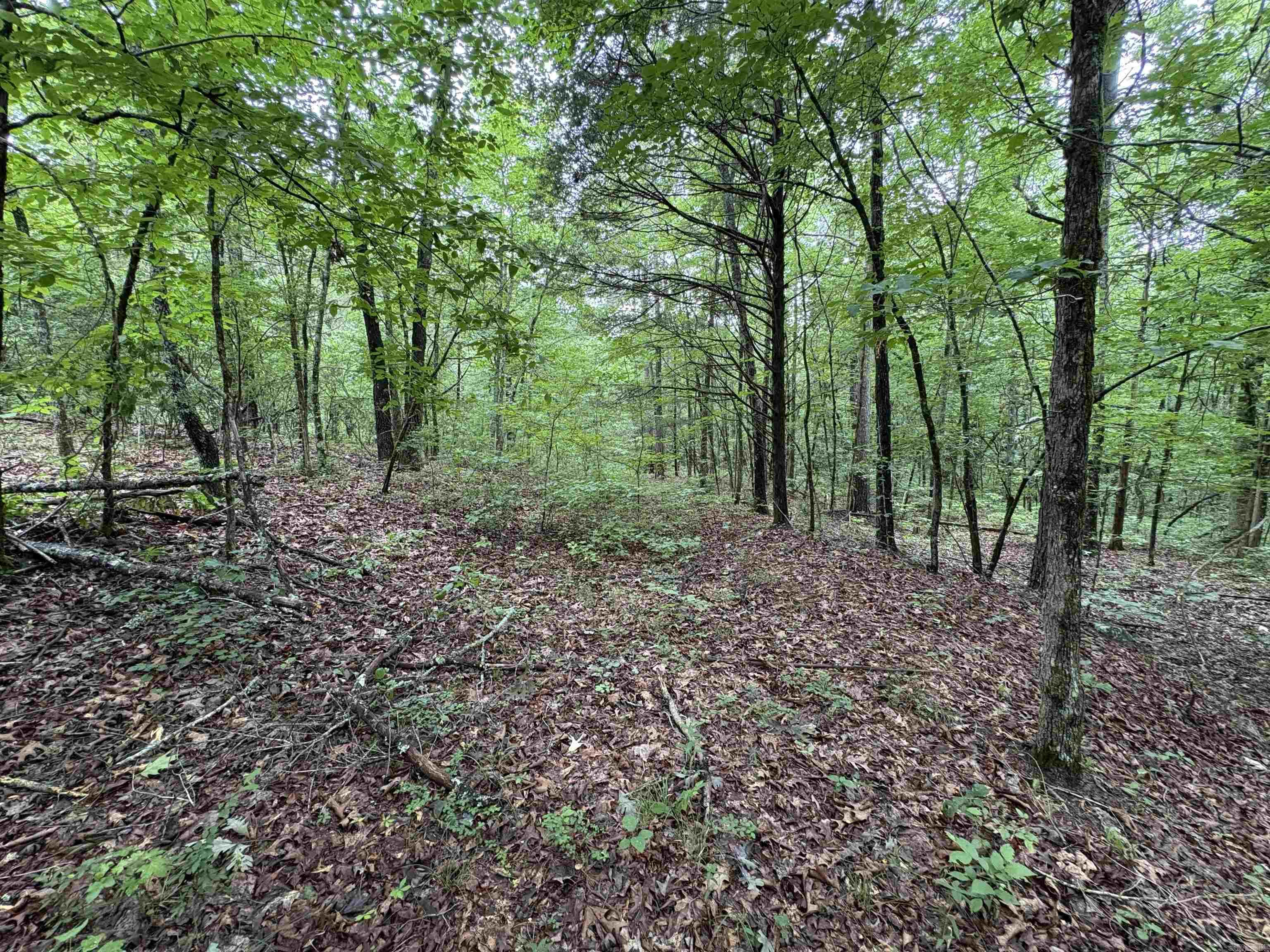 50.65 Acres Off Sr 164 W Property Photo 27