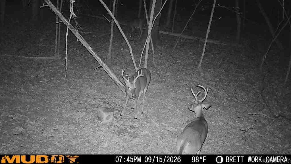50.65 Acres Off Sr 164 W Property Photo 31