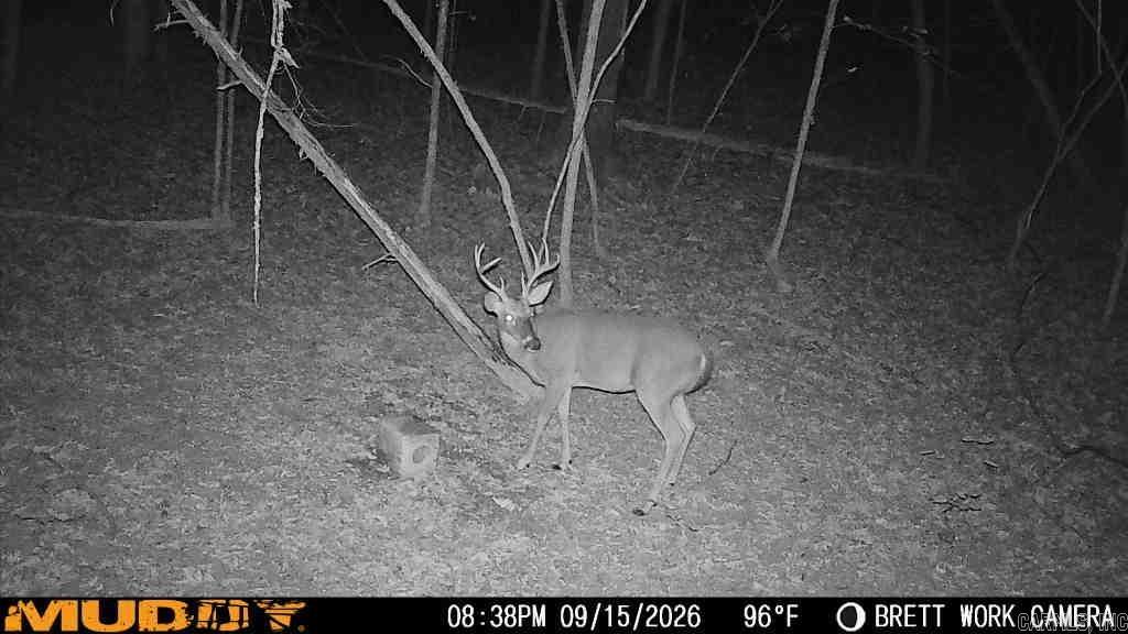50.65 Acres Off Sr 164 W Property Photo 32