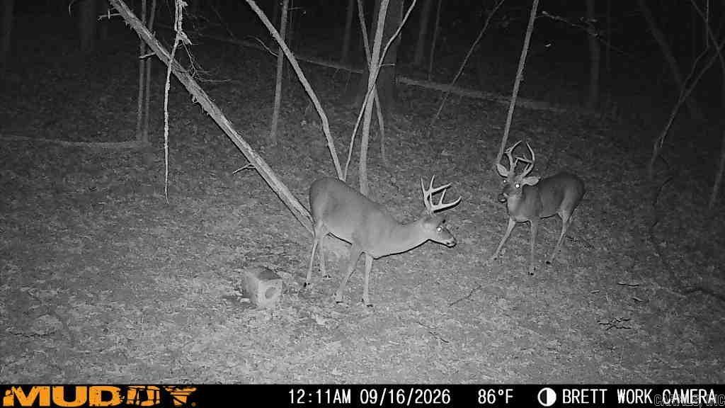 50.65 Acres Off Sr 164 W Property Photo 33