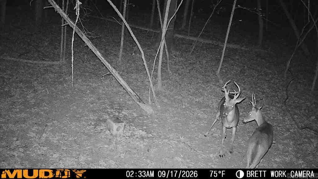 50.65 Acres Off Sr 164 W Property Photo 36