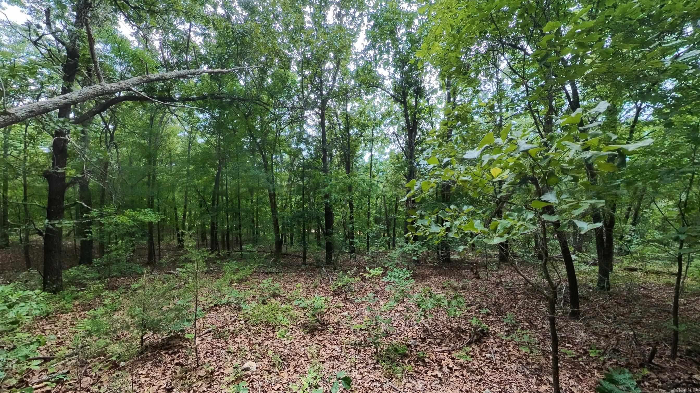 000 N Camp Creek Road Property Photo 4