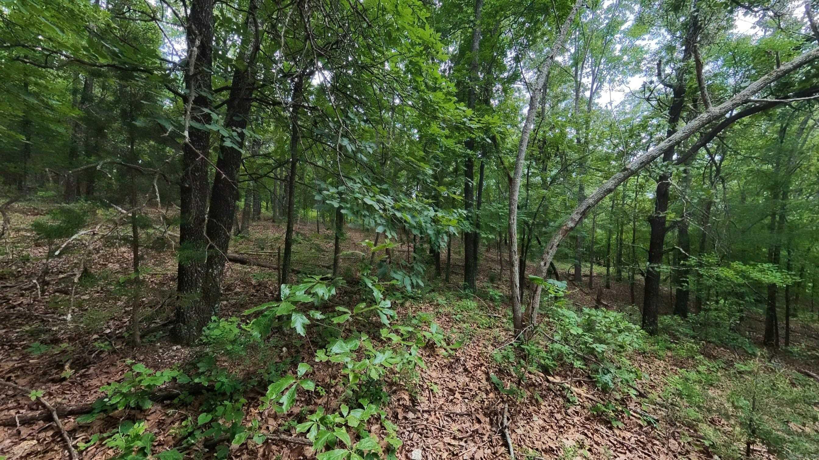 000 N Camp Creek Road Property Photo 5