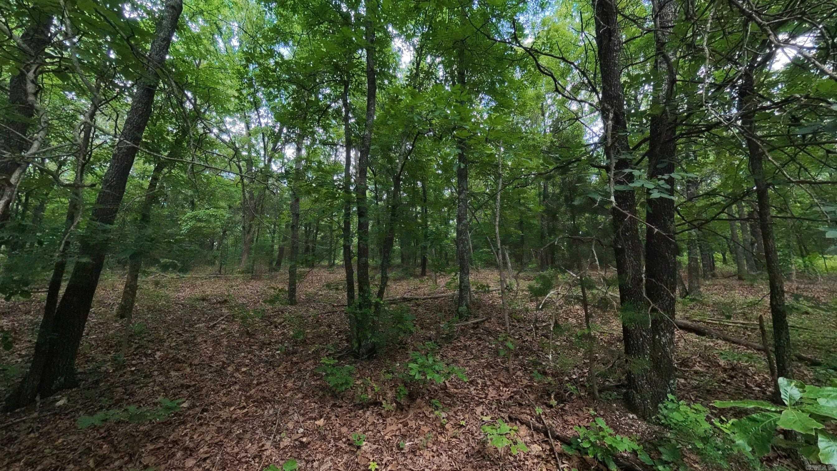 000 N Camp Creek Road Property Photo 6