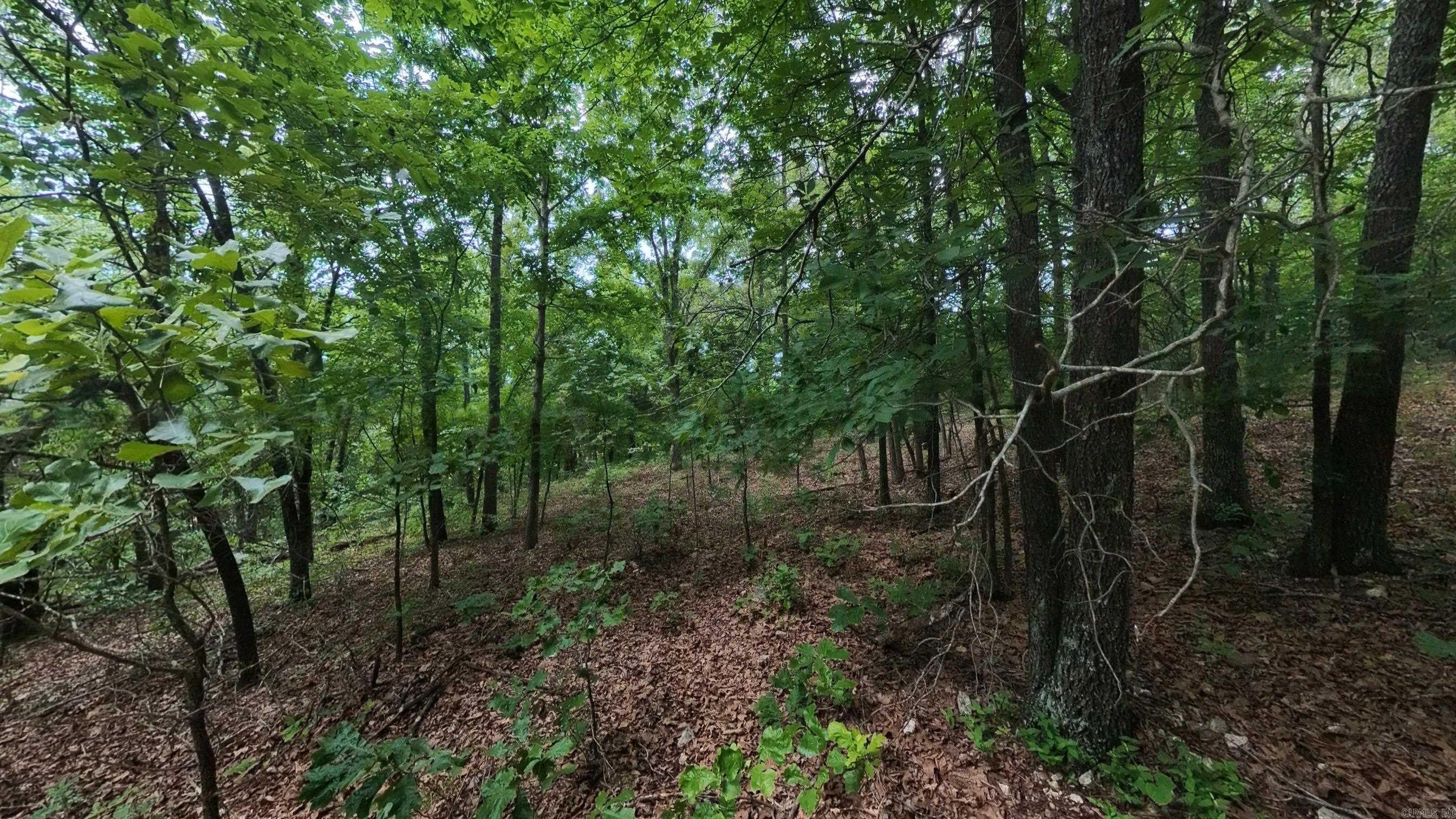 000 N Camp Creek Road Property Photo 7