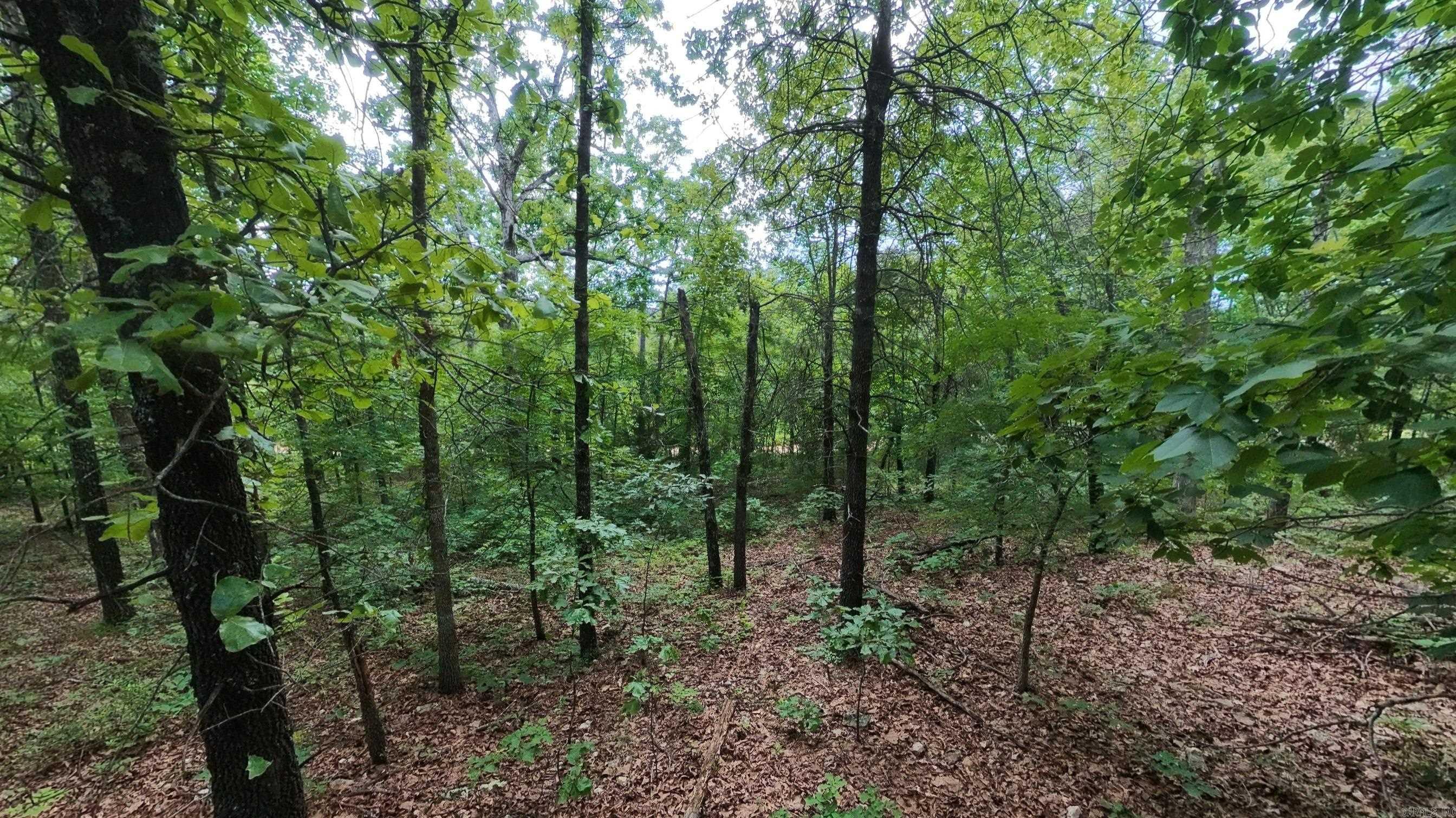 000 N Camp Creek Road Property Photo 9
