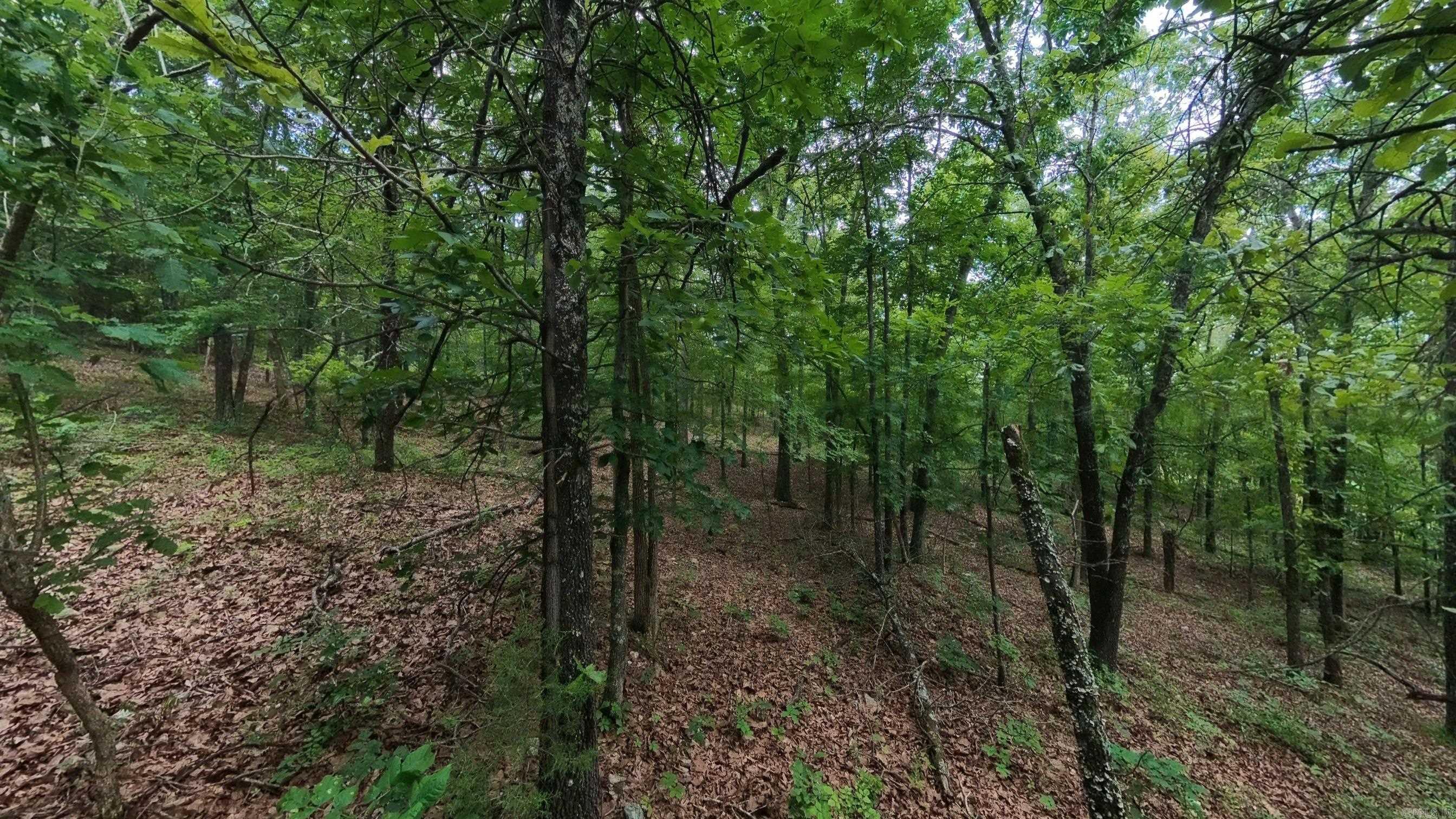 000 N Camp Creek Road Property Photo 10