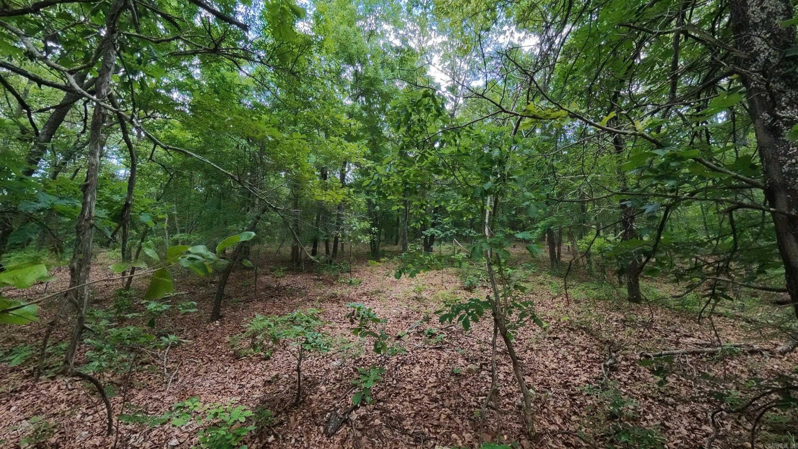 000 N Camp Creek Road Property Photo 11