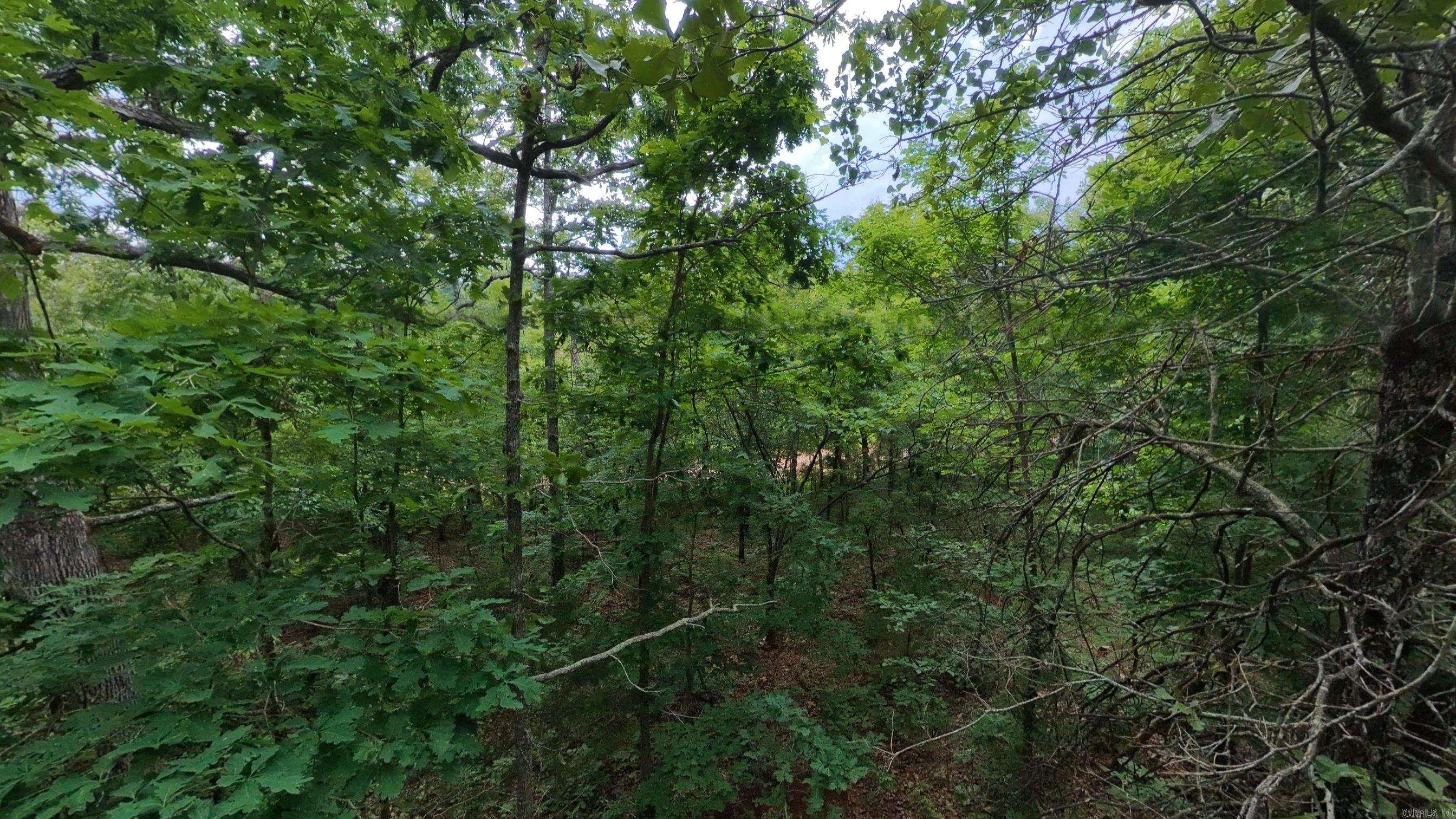 000 N Camp Creek Road Property Photo 12