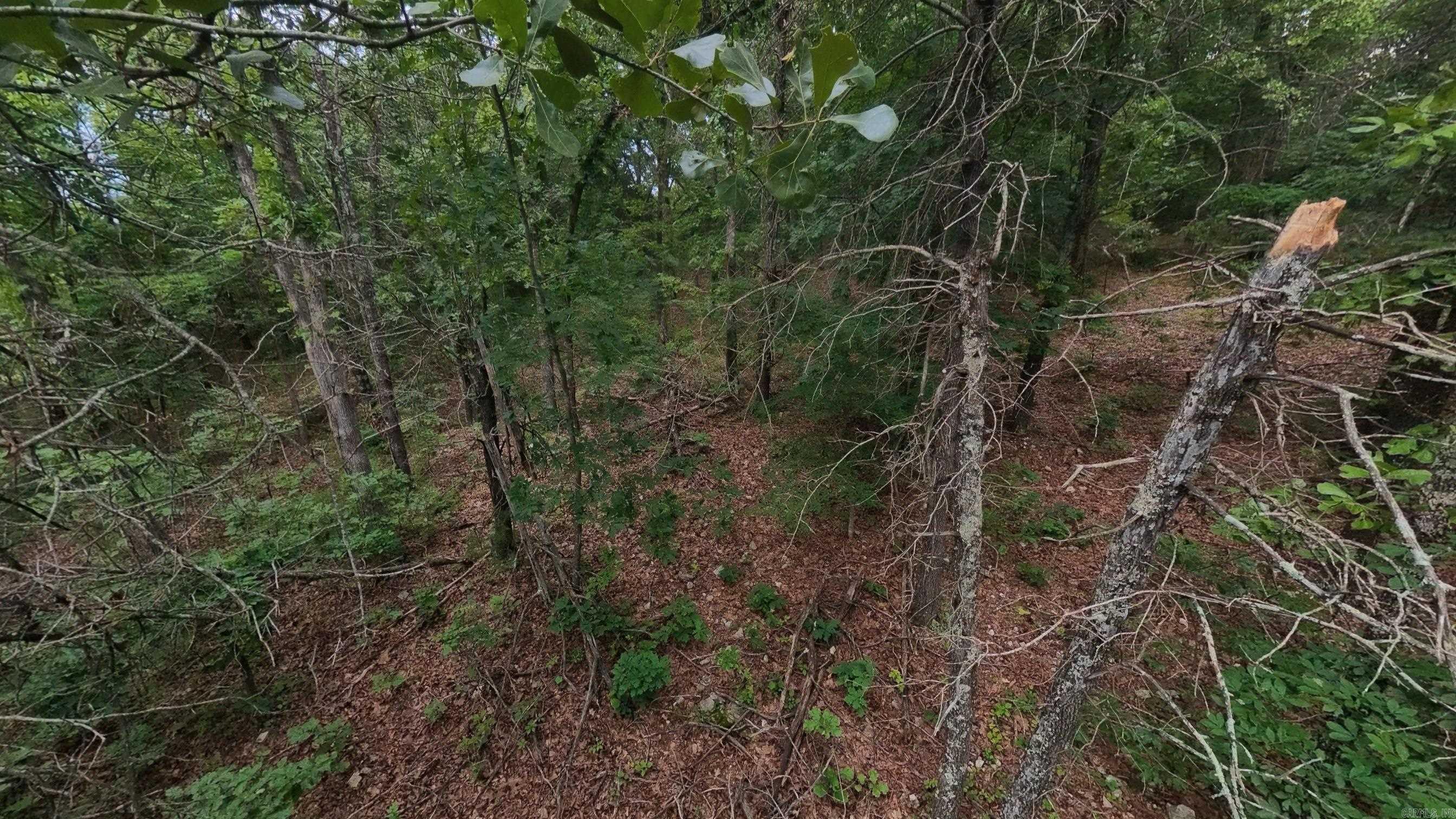 000 N Camp Creek Road Property Photo 13
