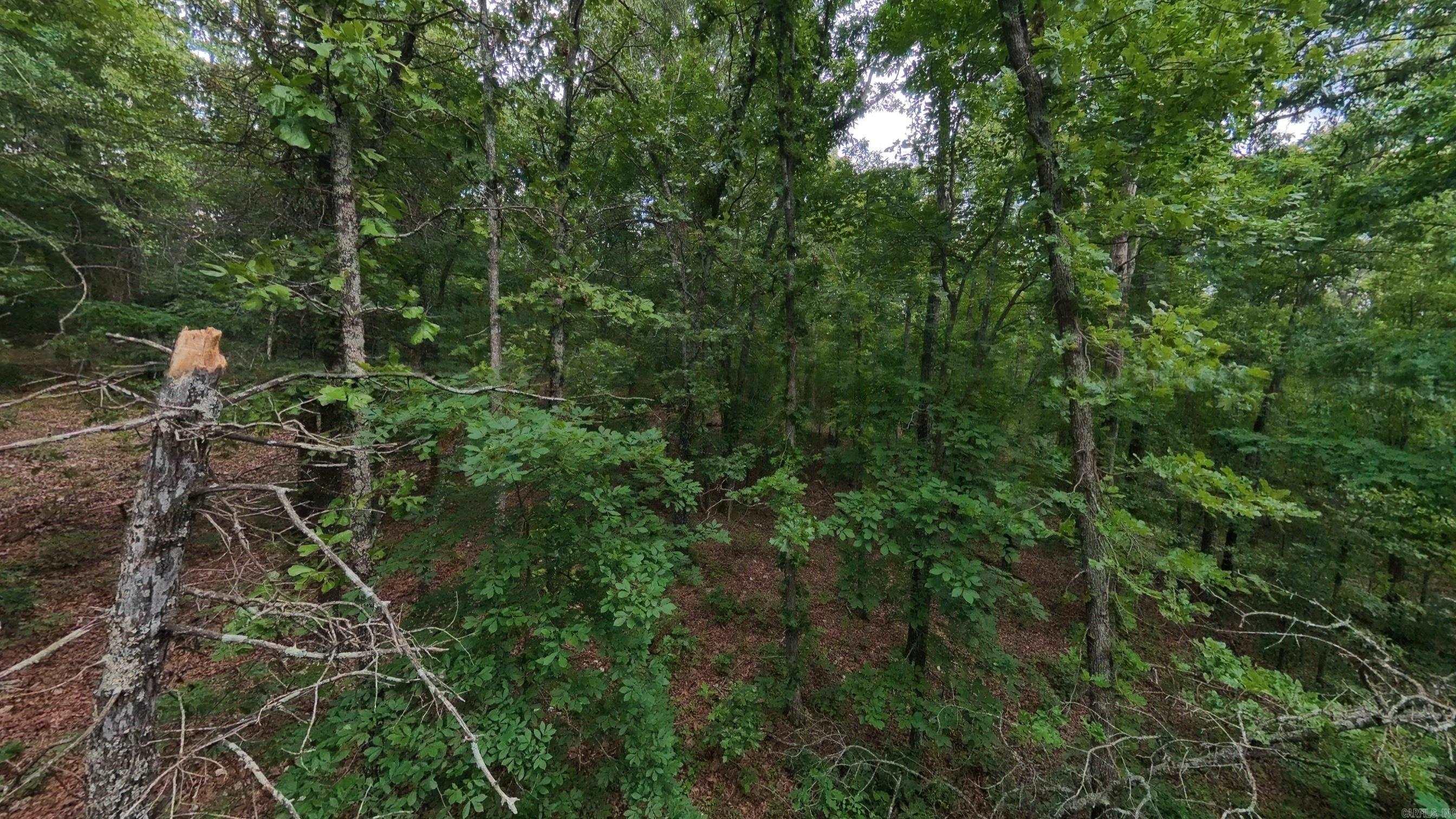 000 N Camp Creek Road Property Photo 14