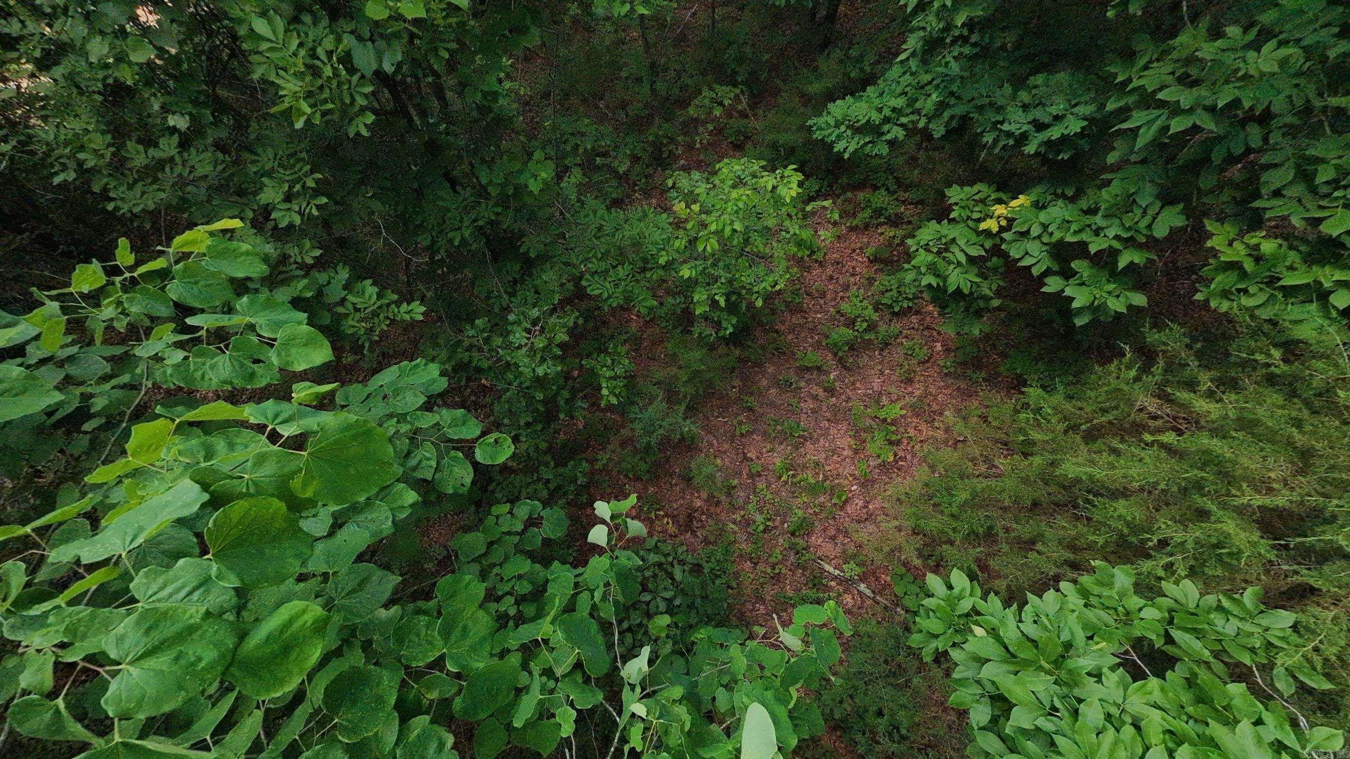 000 N Camp Creek Road Property Photo 15