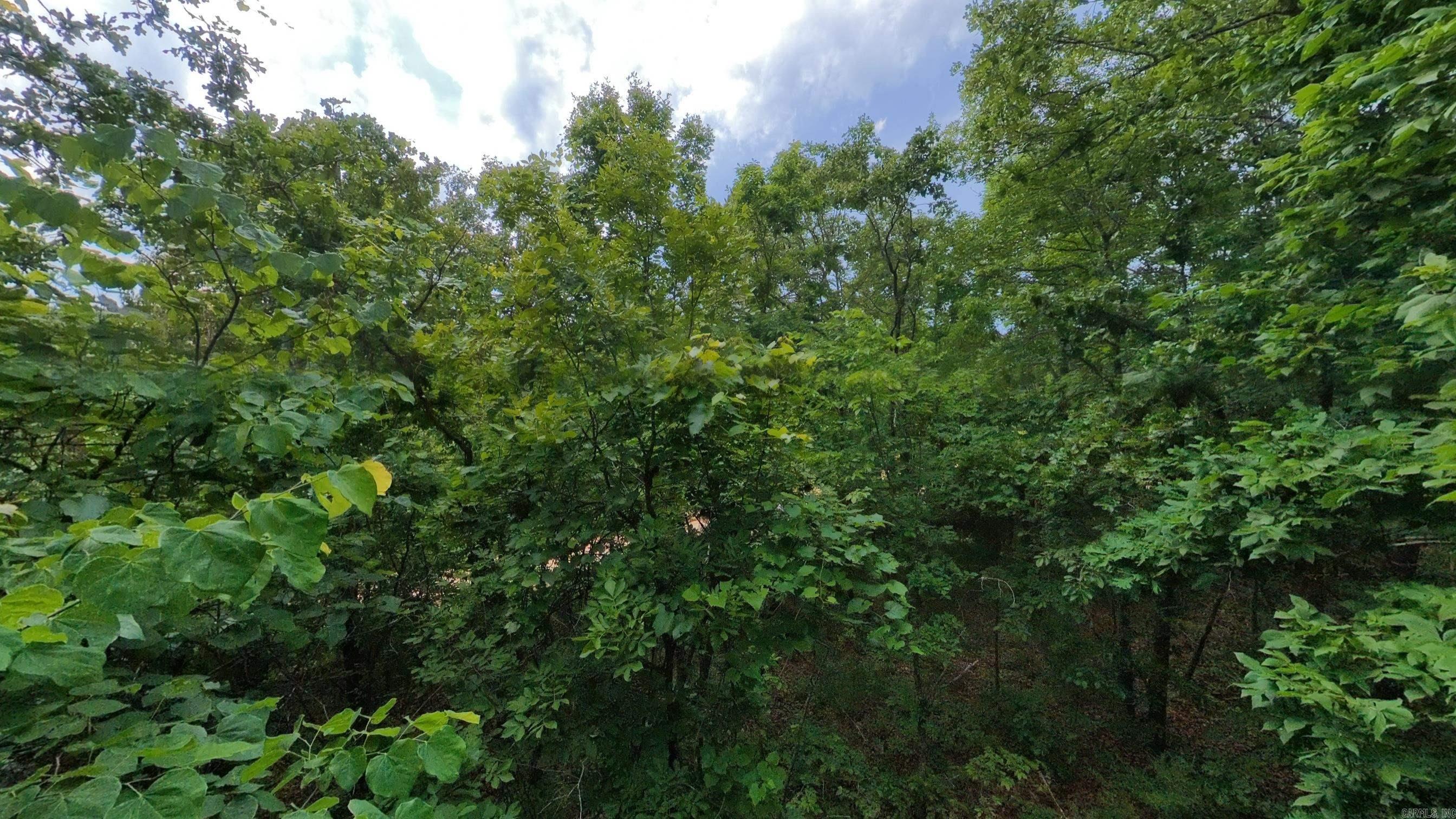 000 N Camp Creek Road Property Photo 16