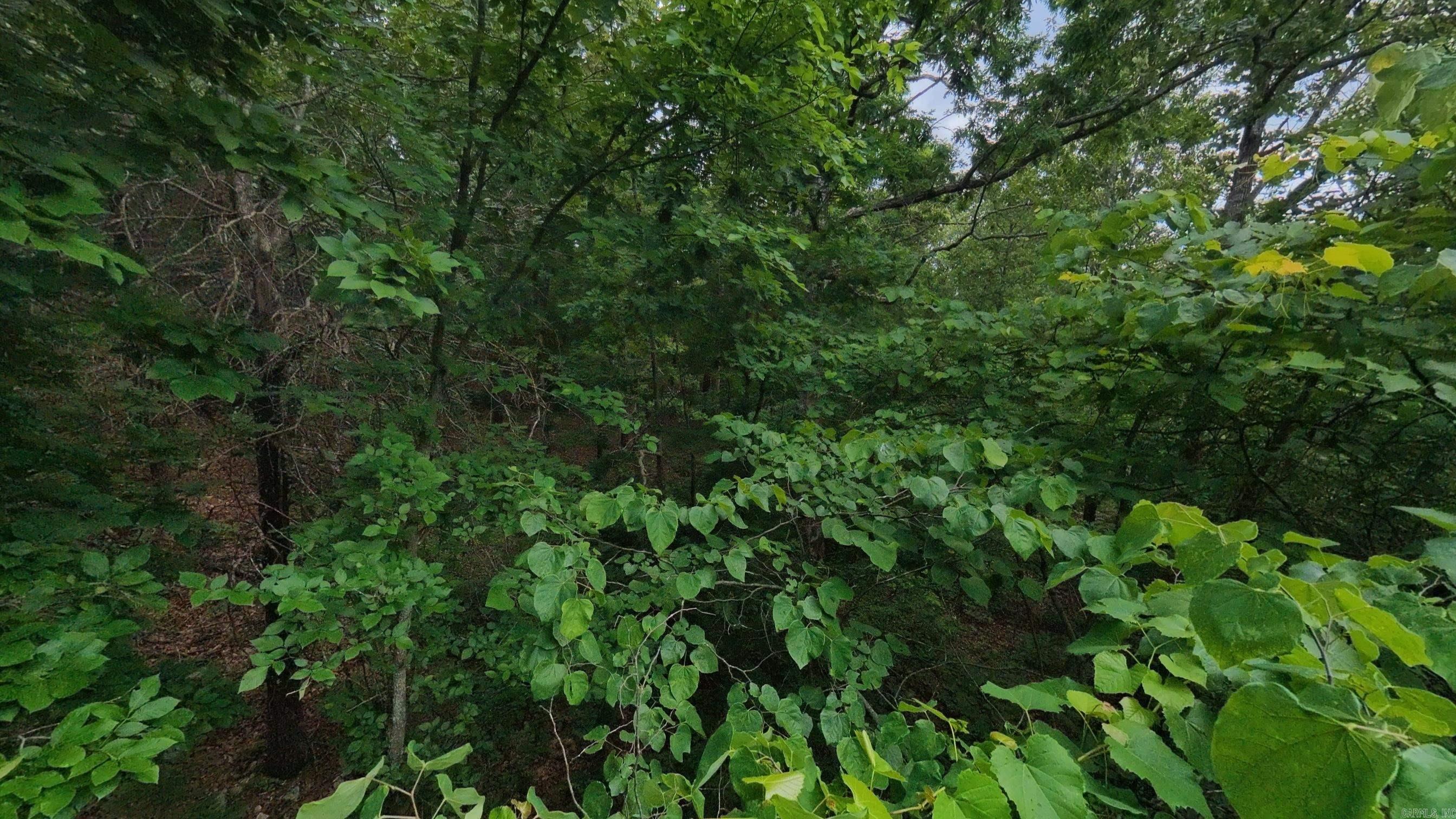 000 N Camp Creek Road Property Photo 17