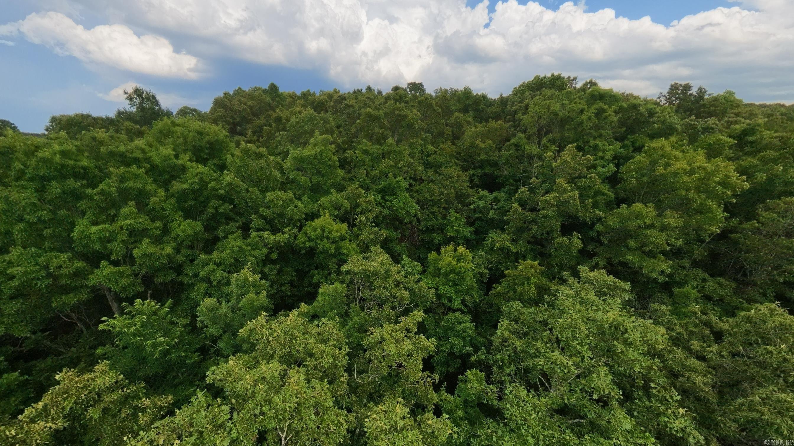 000 N Camp Creek Road Property Photo 19