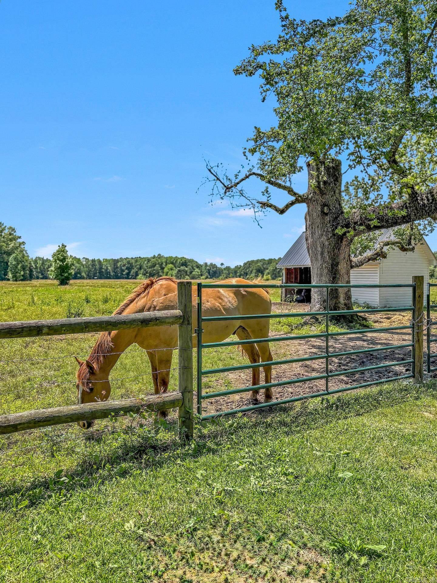 506 Richwoods Road Property Photo 46