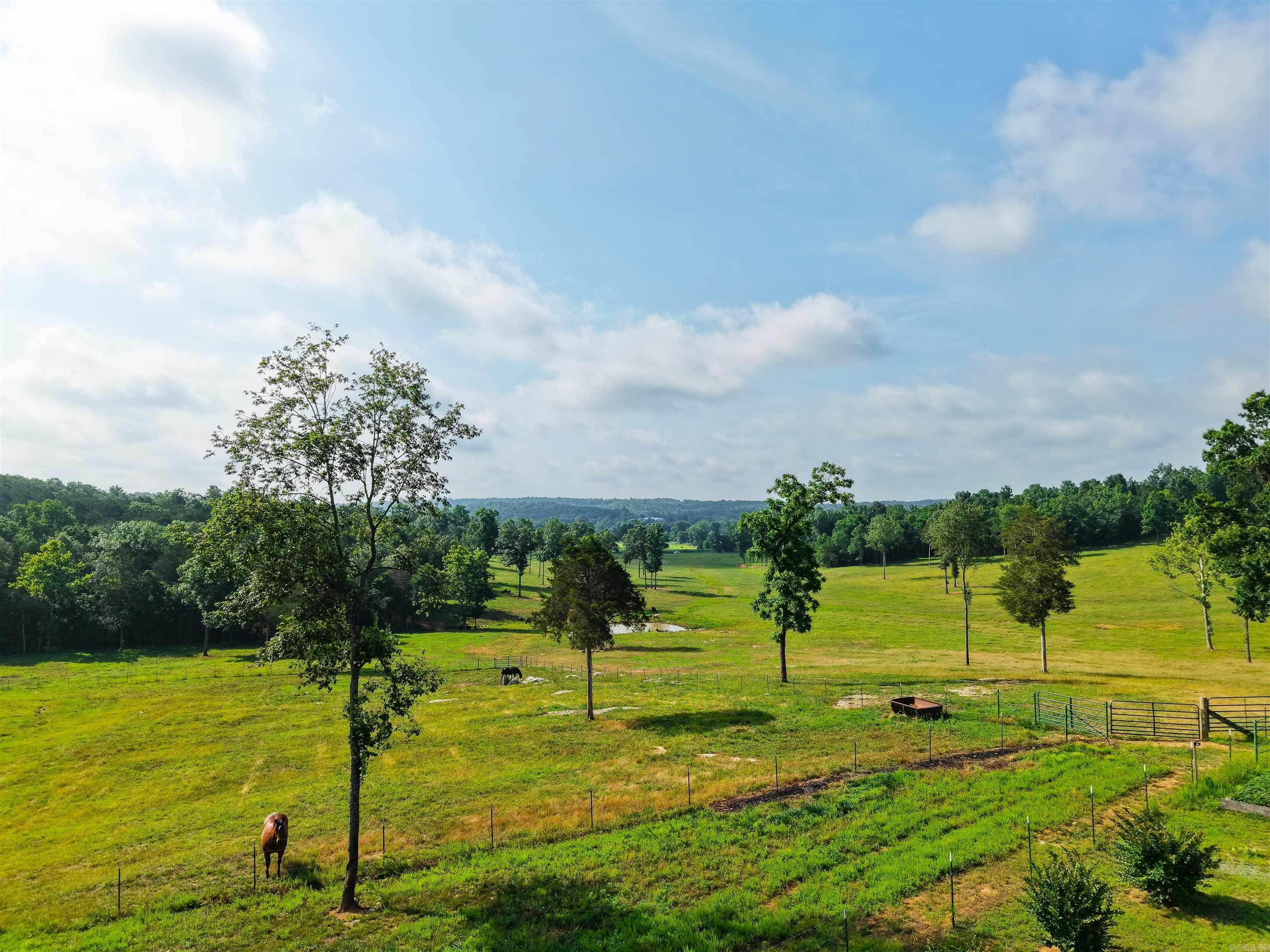 4719 Stoney Point Road Property Photo 4
