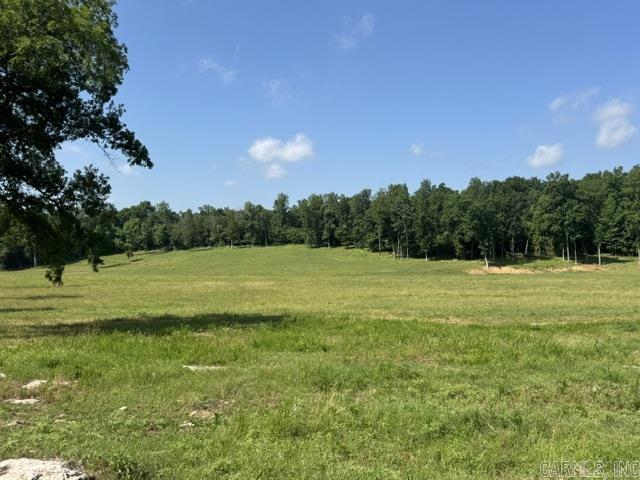 4719 Stoney Point Road Property Photo 44
