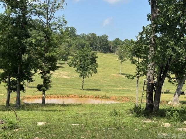 4719 Stoney Point Road Property Photo 46