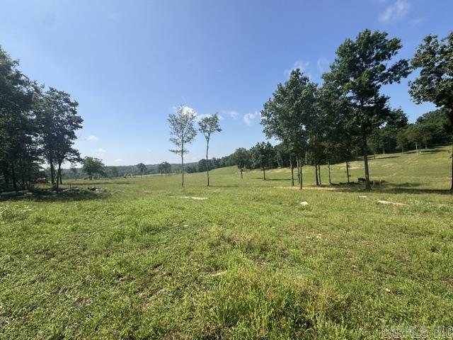 4719 Stoney Point Road Property Photo 48