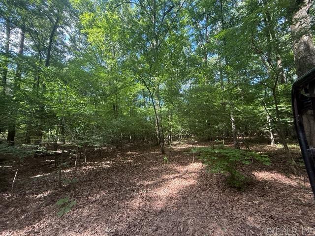 4.26 Acres Oklahoma Inn Rd Property Photo 2