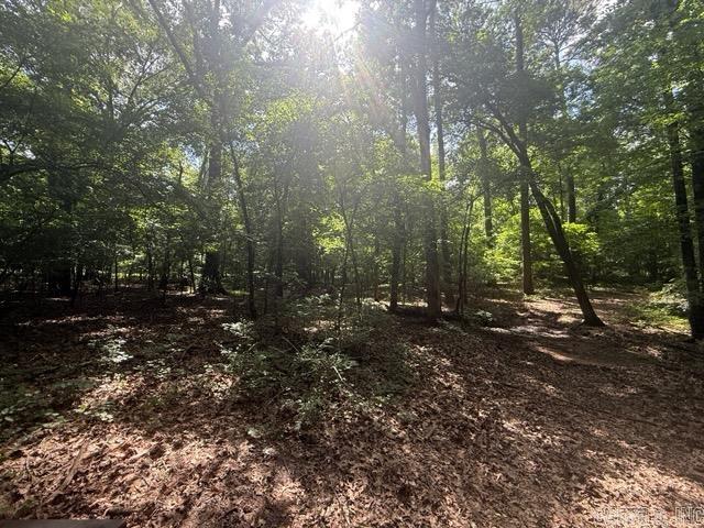 4.26 Acres Oklahoma Inn Rd Property Photo 3