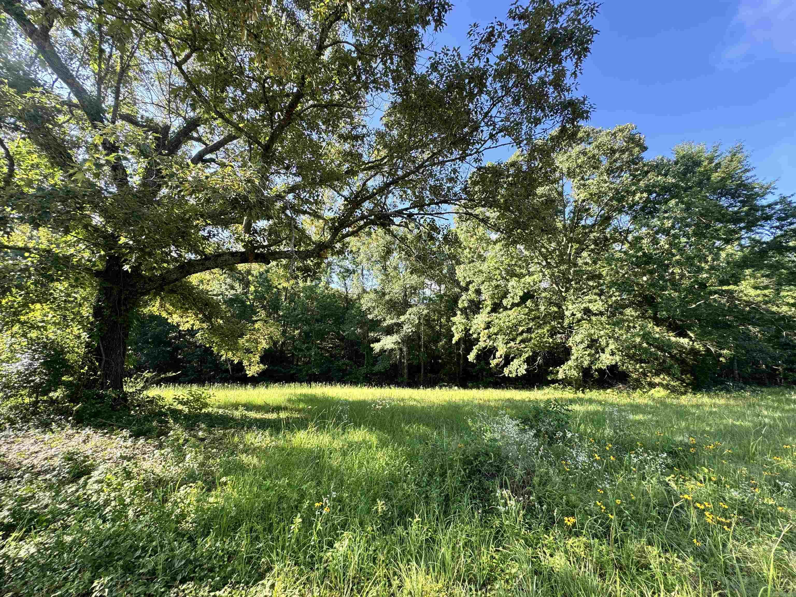 2.25 Acres Cuffman Mill Road Property Photo 4