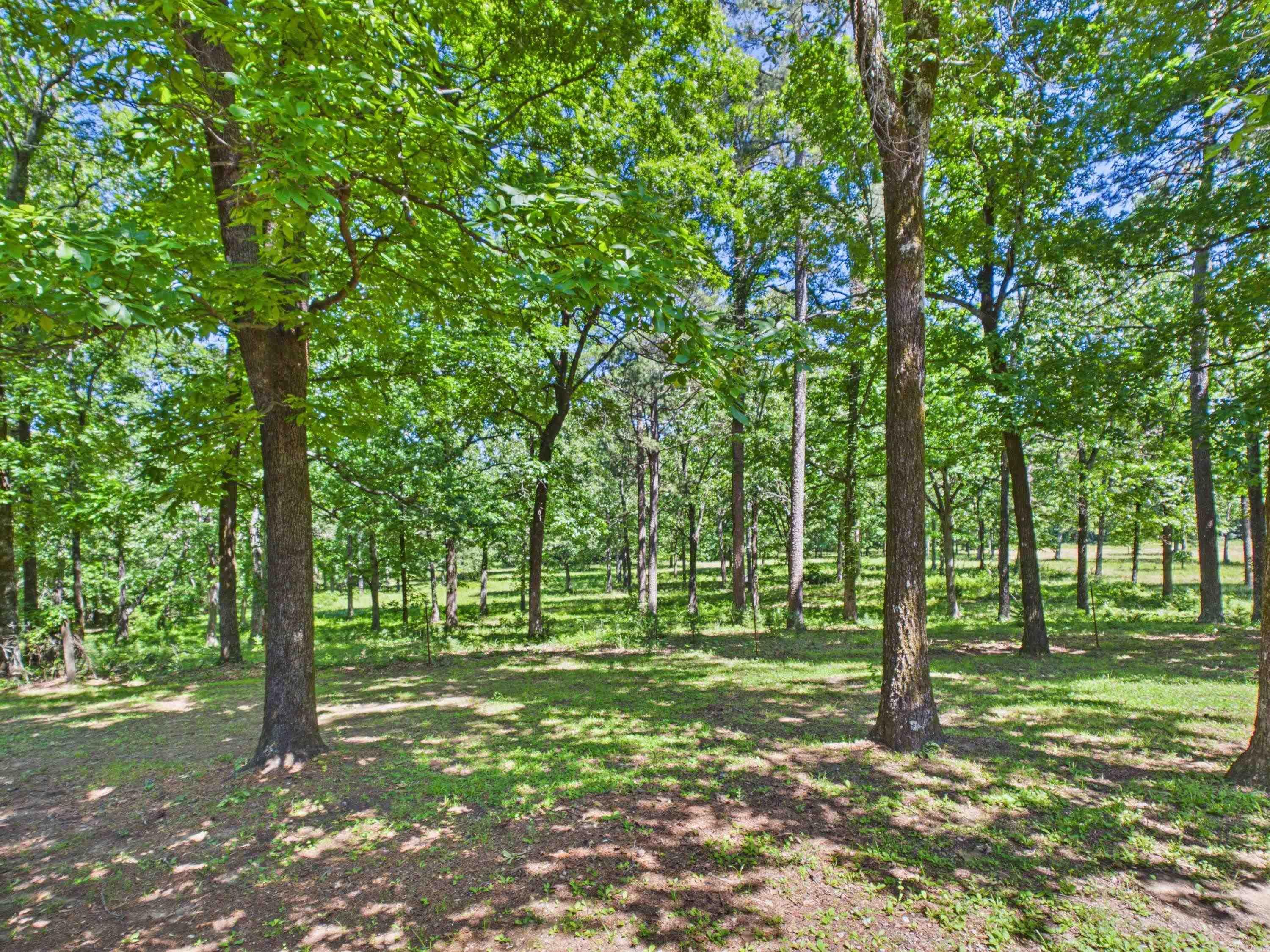 429 Oak Grove Rd Property Photo 40