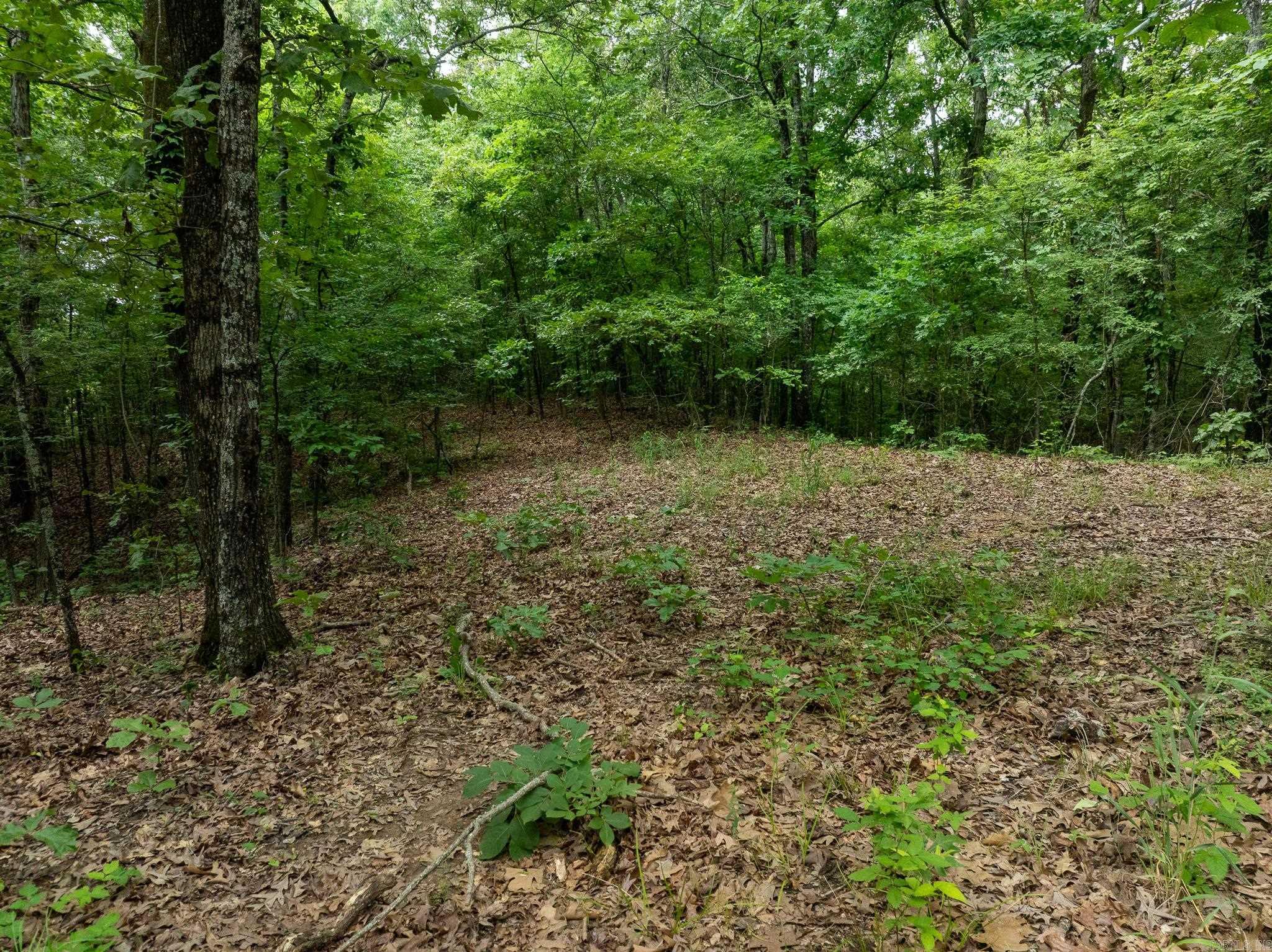 000 Bay Lane Property Photo 18