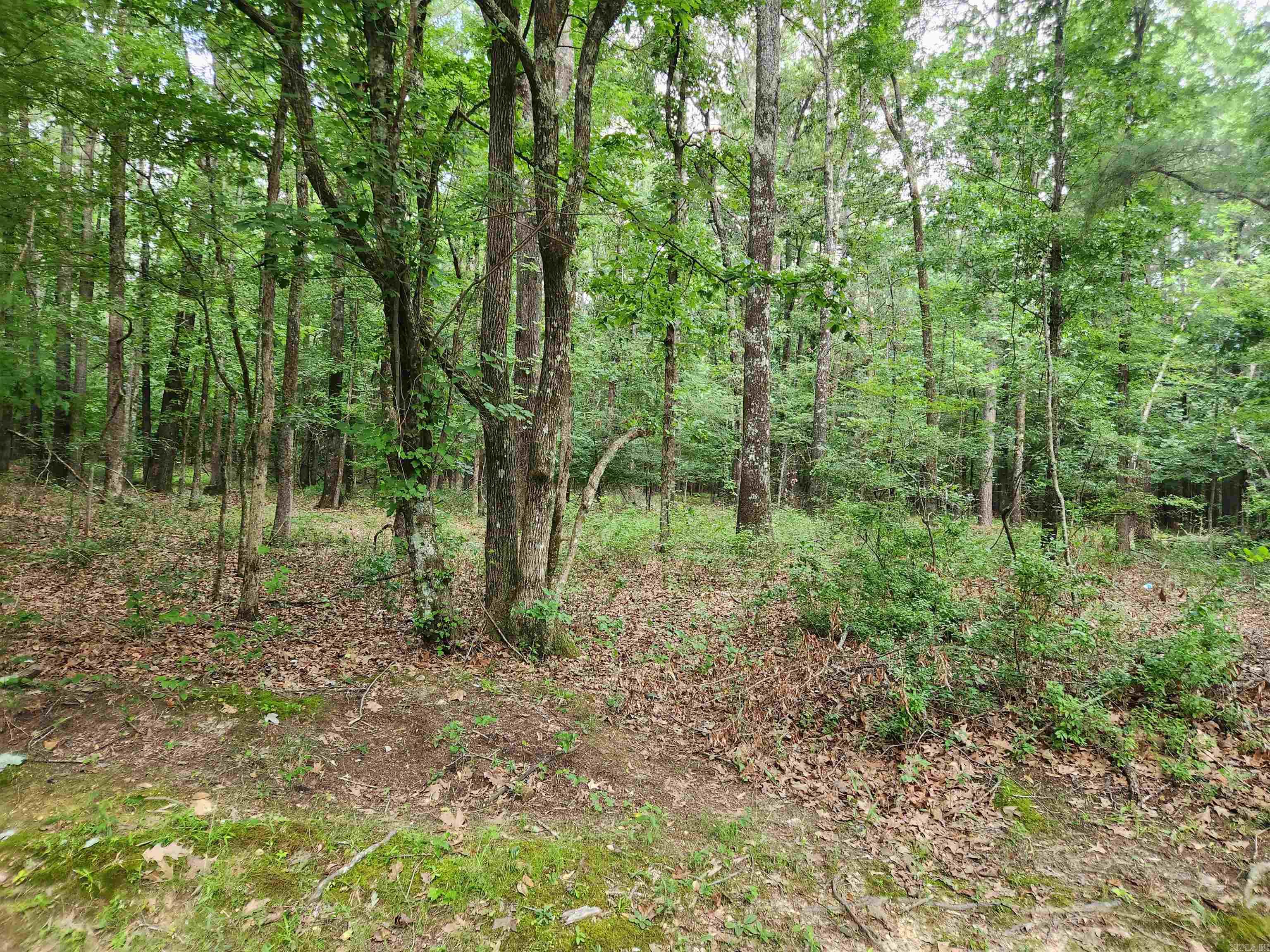 000 Roosevelt Drive Property Photo 2