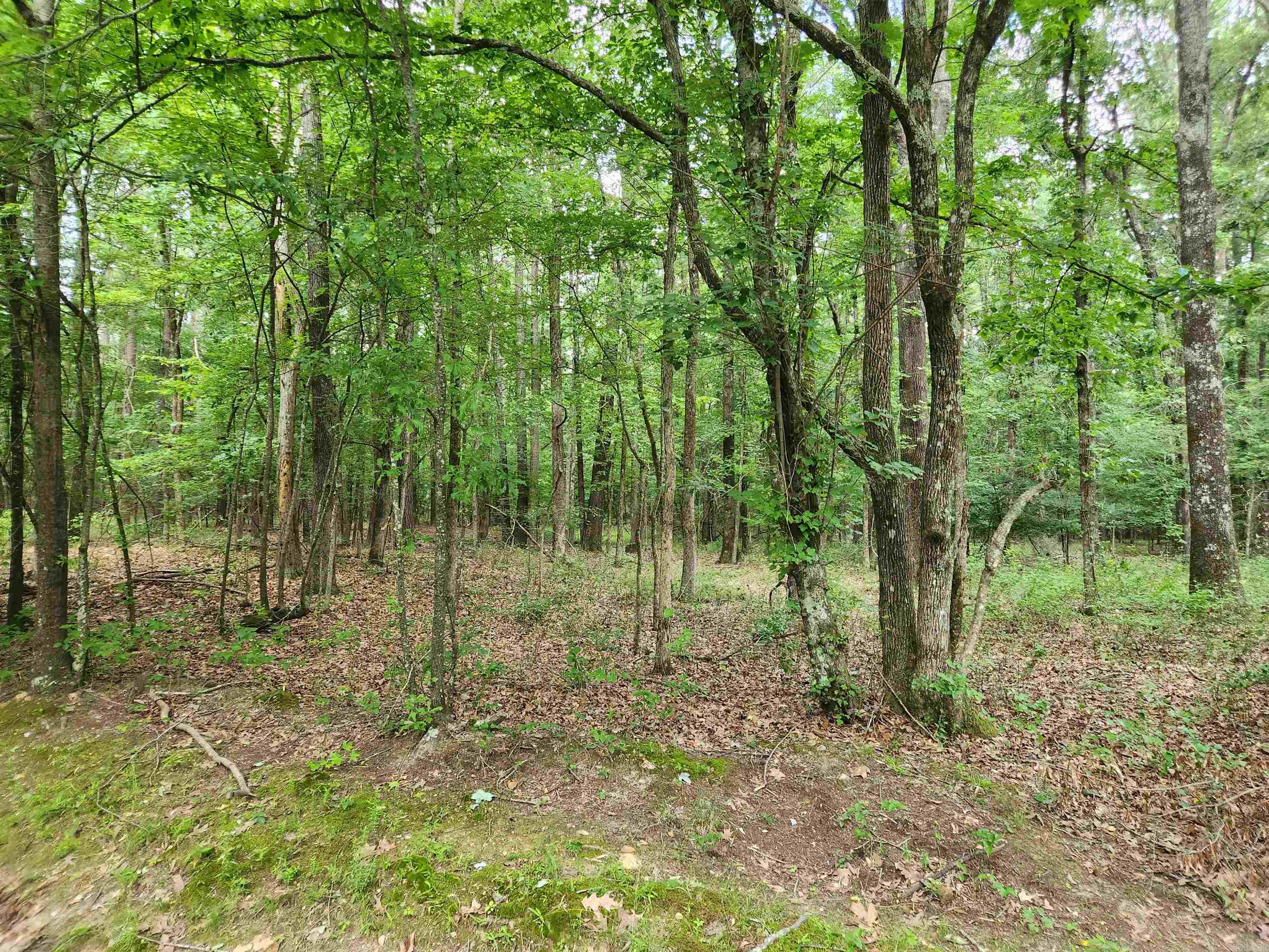 000 Roosevelt Drive Property Photo 3