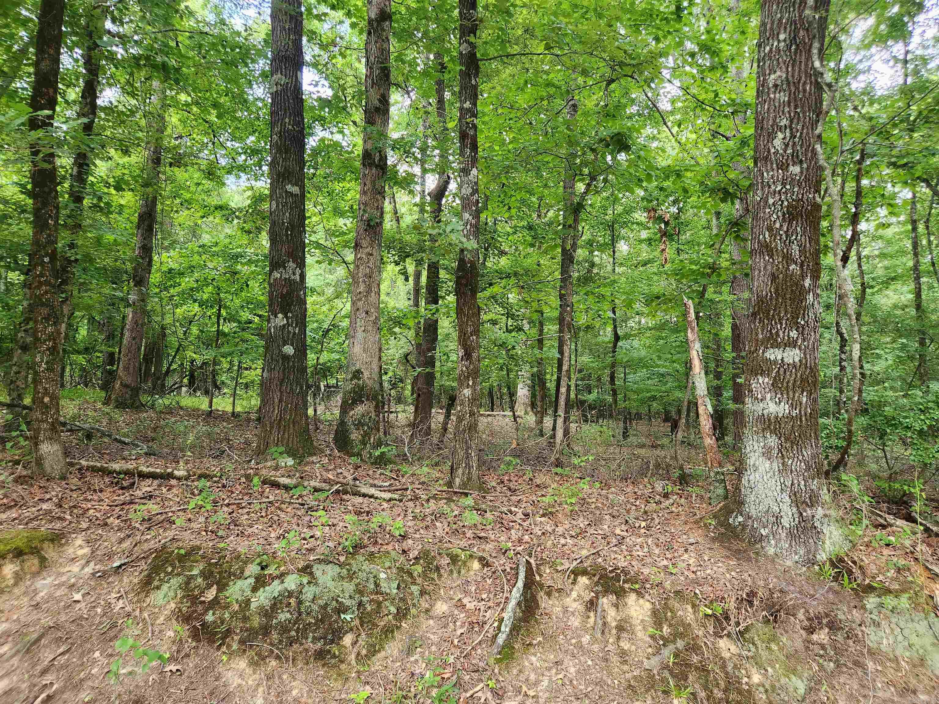 000 Roosevelt Drive Property Photo 10