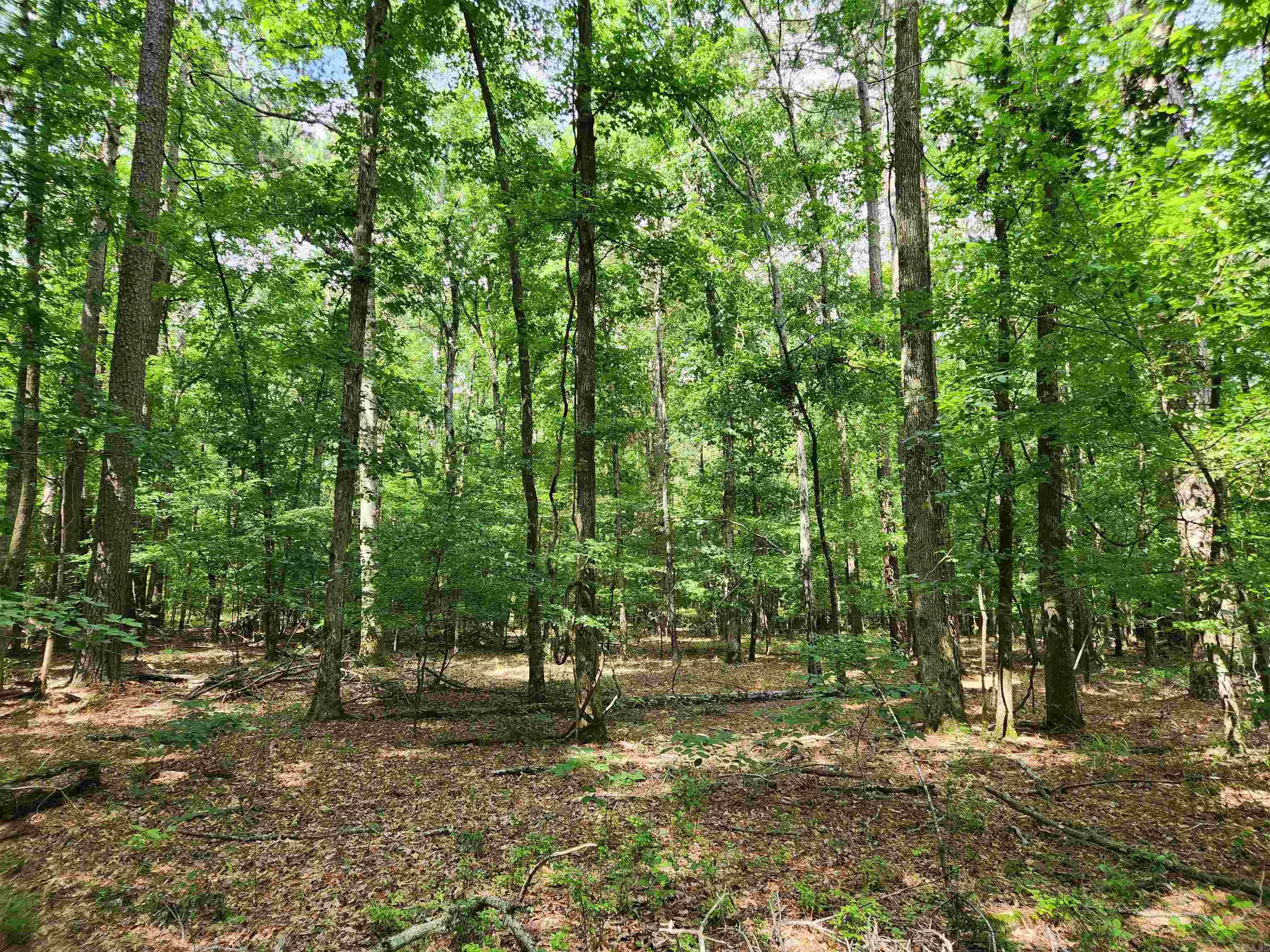 000 Roosevelt Drive Property Photo 11