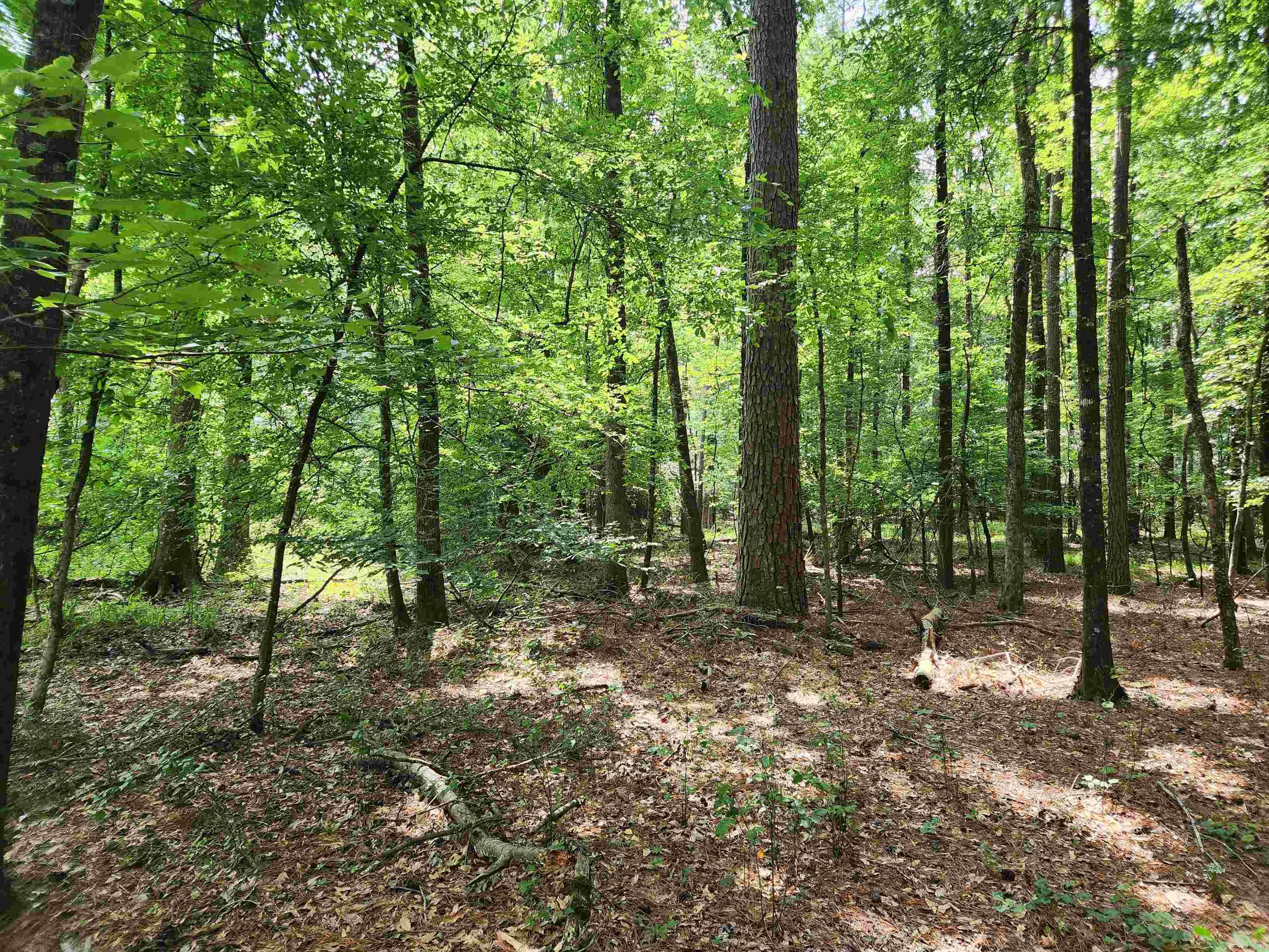 000 Roosevelt Drive Property Photo 12