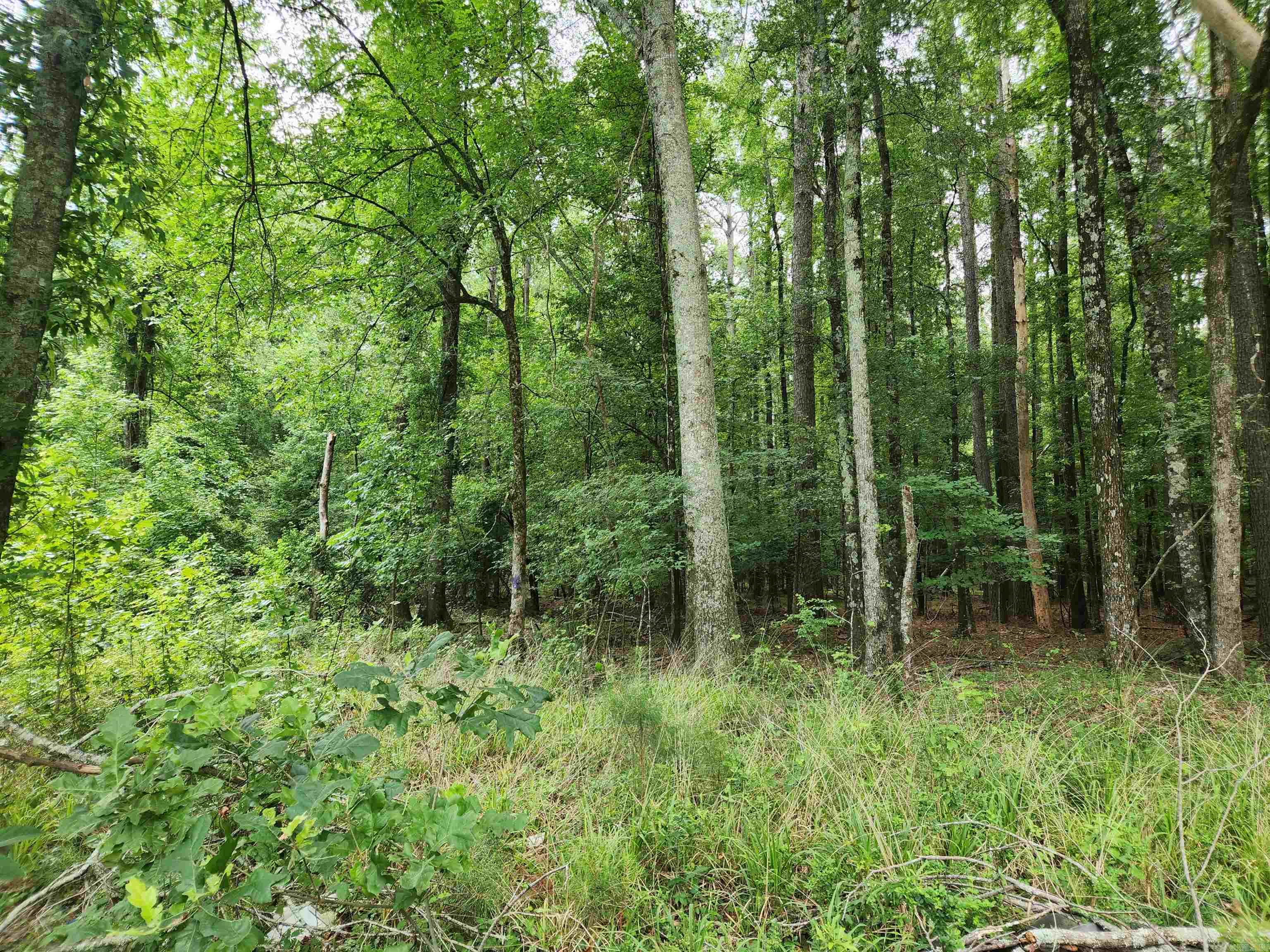 000 Roosevelt Drive Property Photo 17