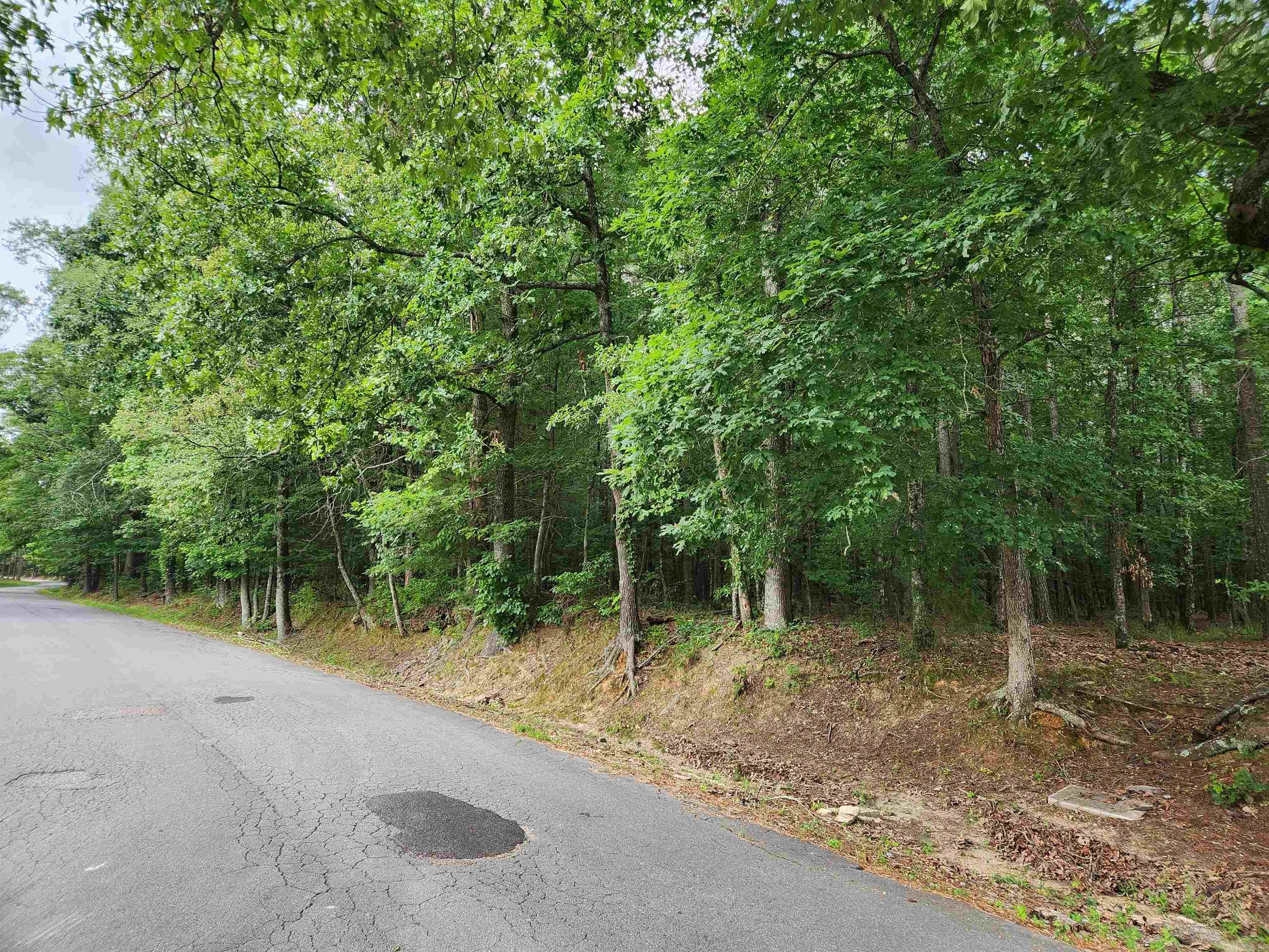 000 Roosevelt Drive Property Photo 19