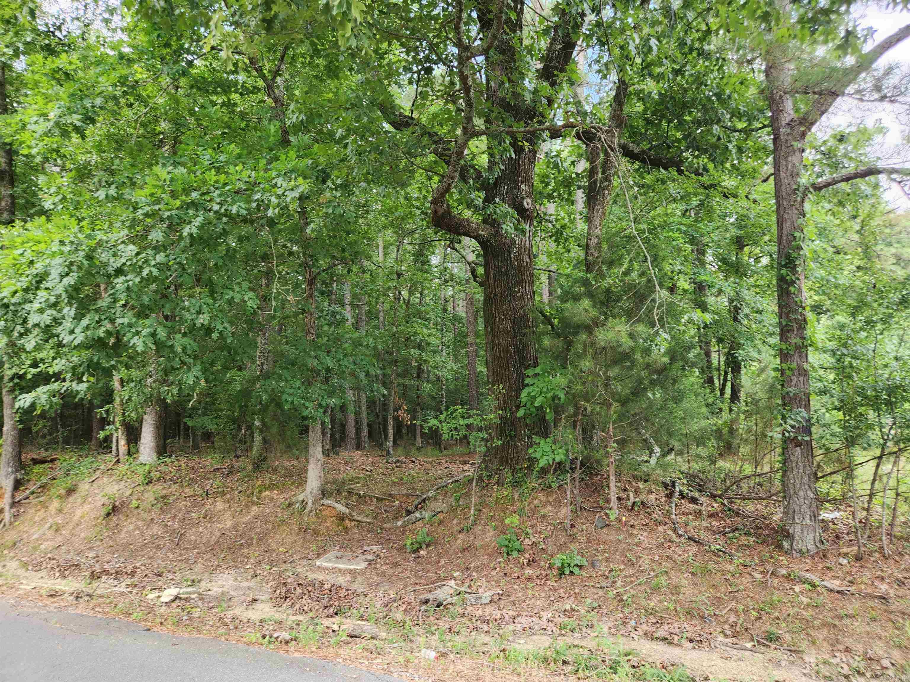 000 Roosevelt Drive Property Photo 20
