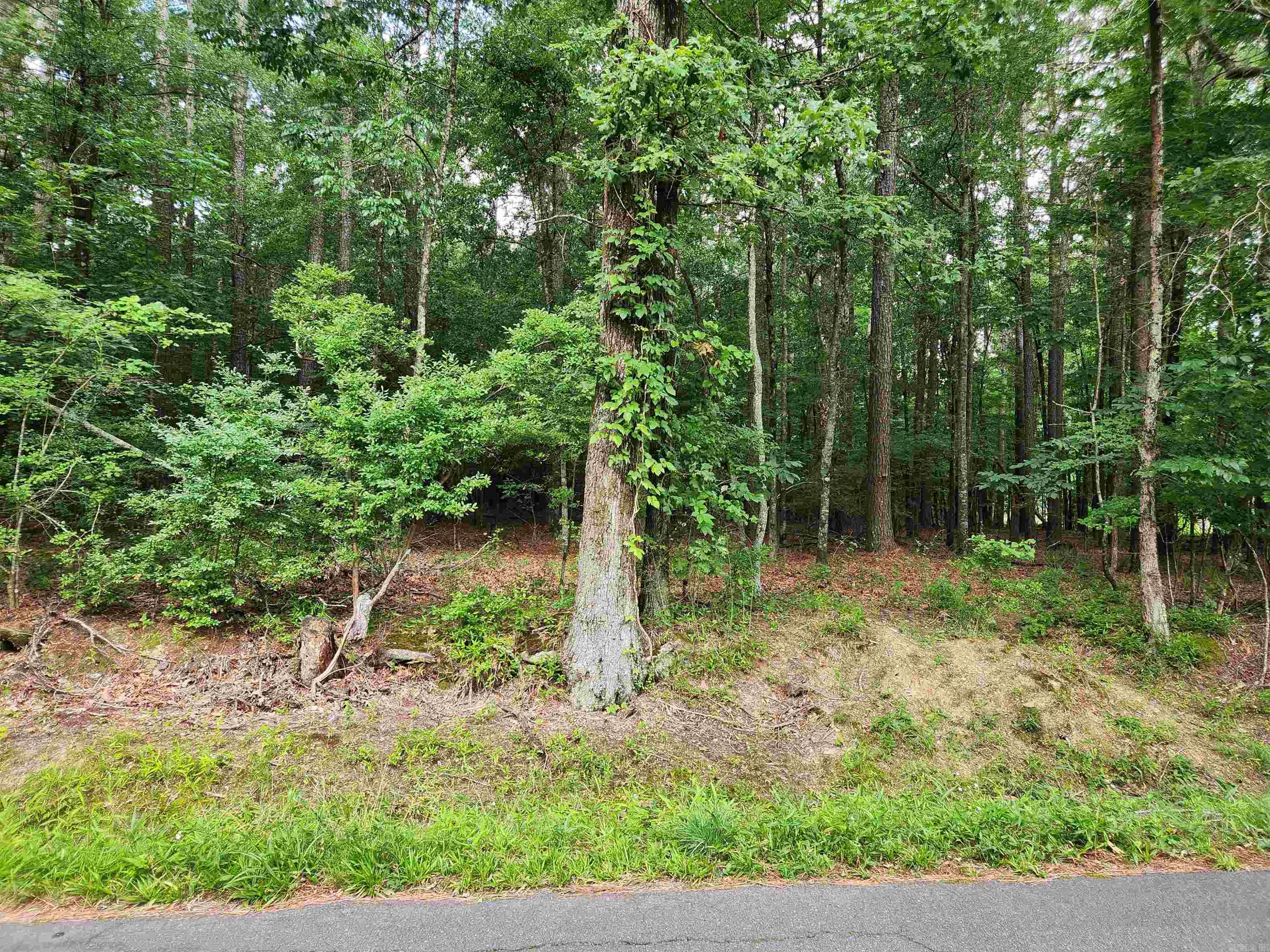 000 Roosevelt Drive Property Photo 21