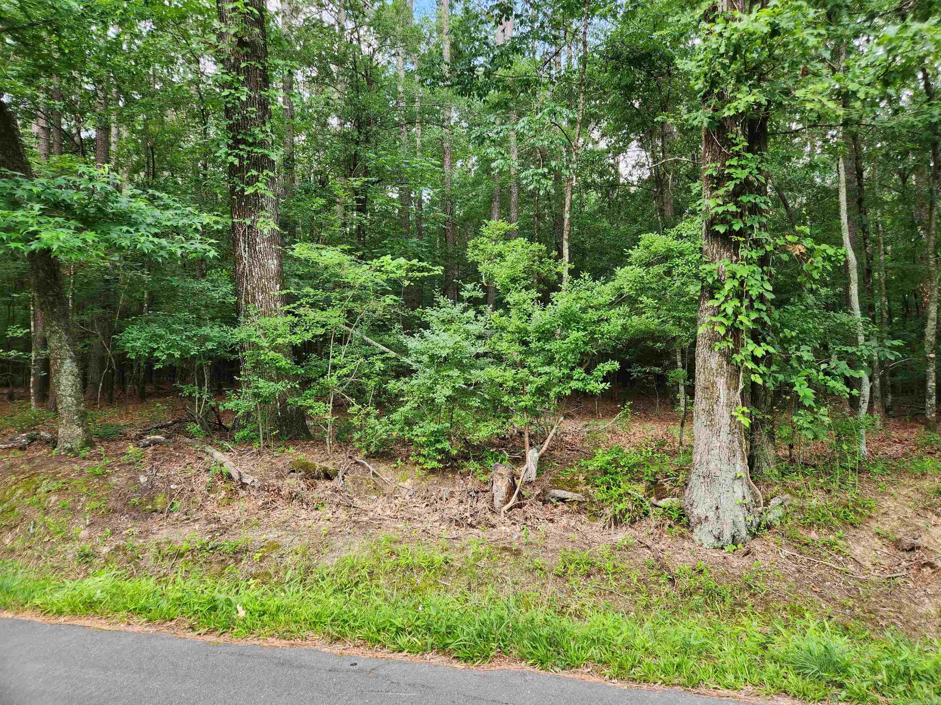 000 Roosevelt Drive Property Photo 22