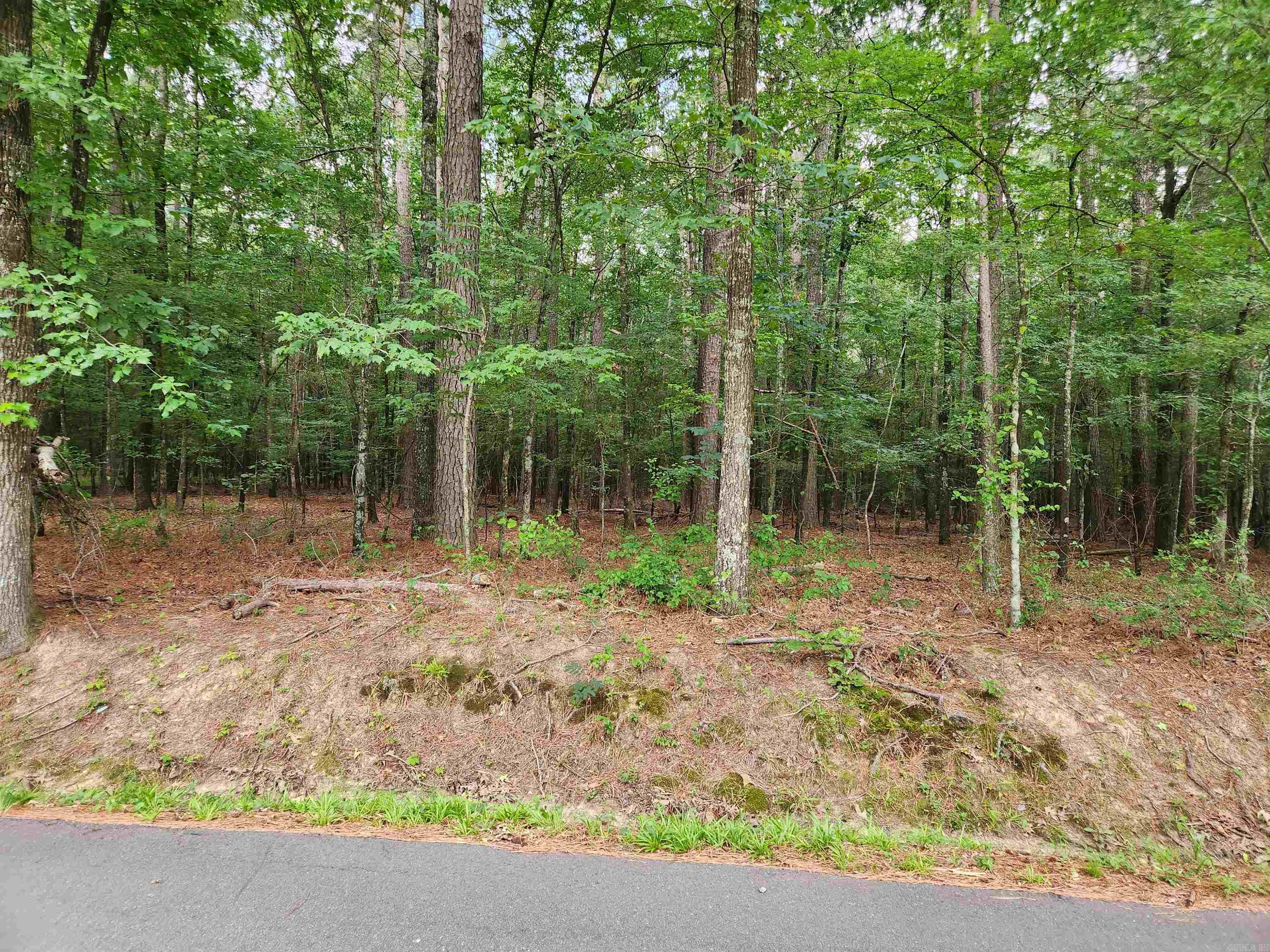000 Roosevelt Drive Property Photo 23