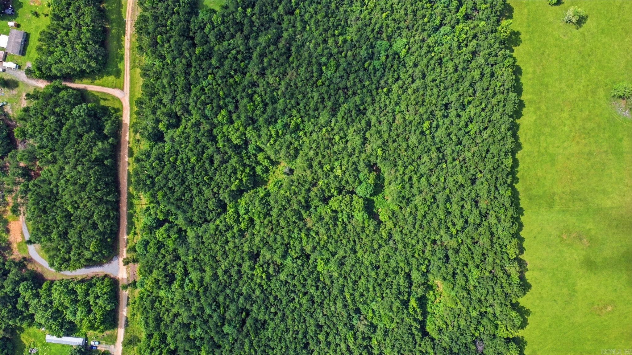 9.43 Acres Grant 18 Property Photo 5