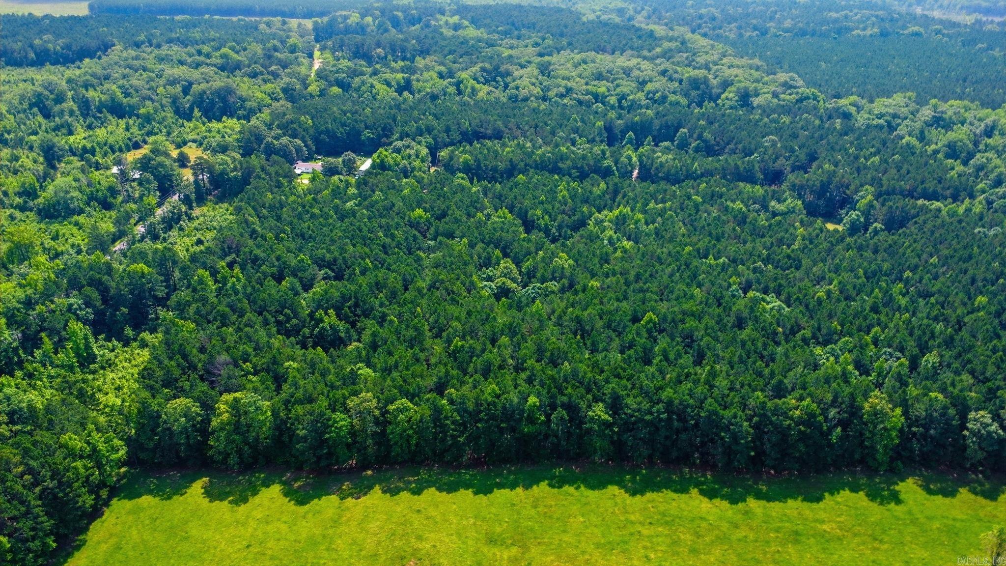 9.43 Acres Grant 18 Property Photo 10