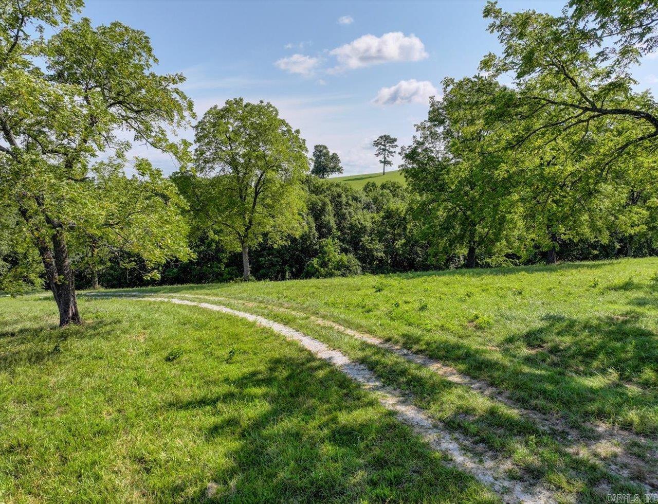 000 Hwy 65 And Old Hwy 65 Highway Property Photo 8