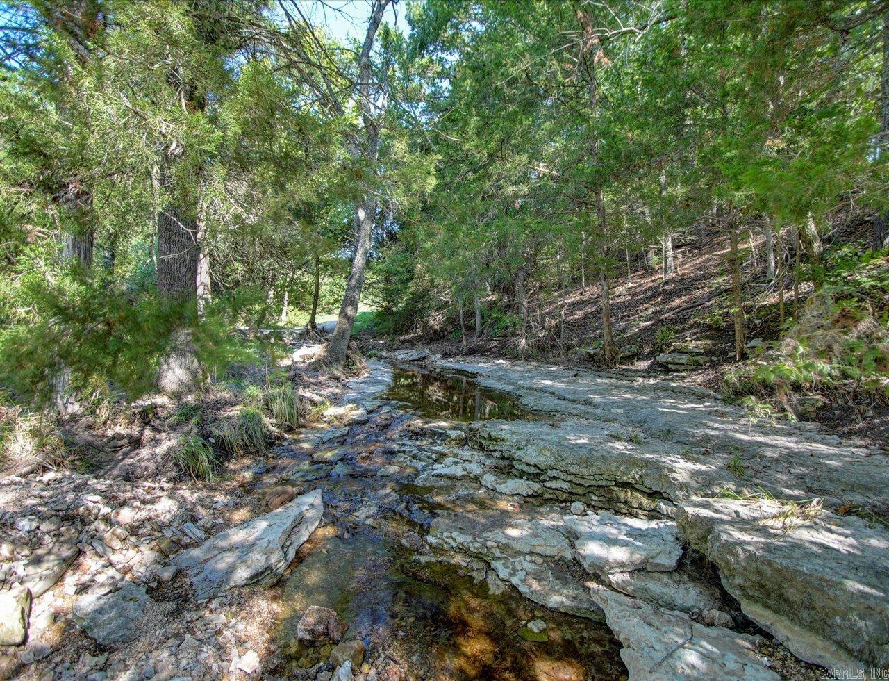 000 Hwy 65 And Old Hwy 65 Highway Property Photo 12