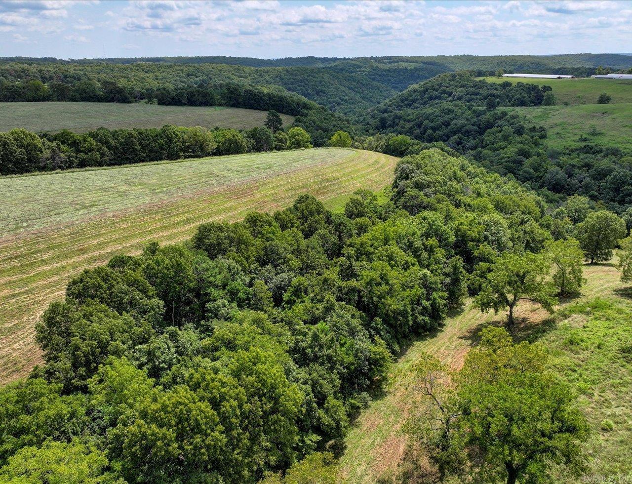 000 Highway 14 Property Photo 12