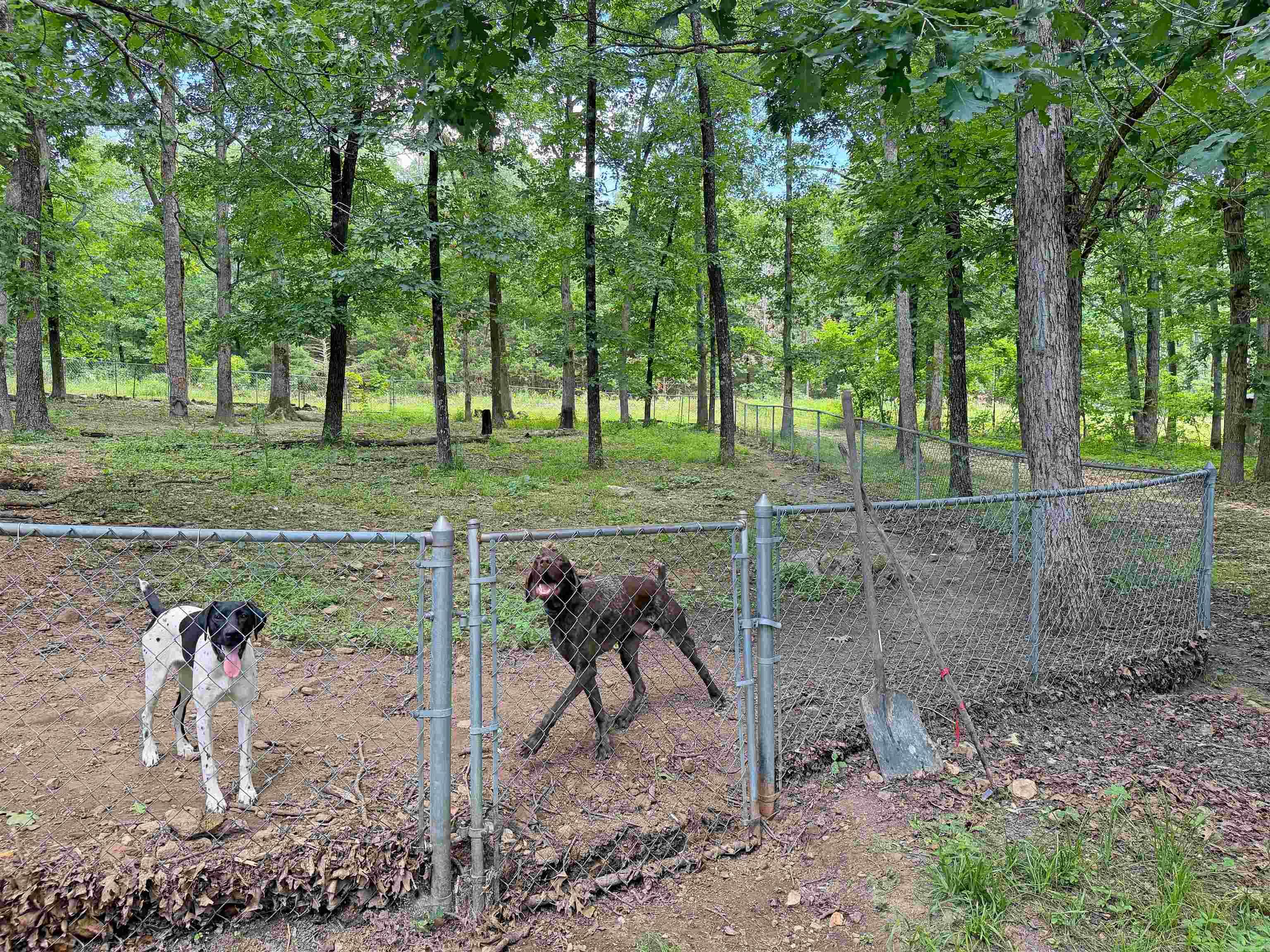 131 Doe Lane Property Photo 23