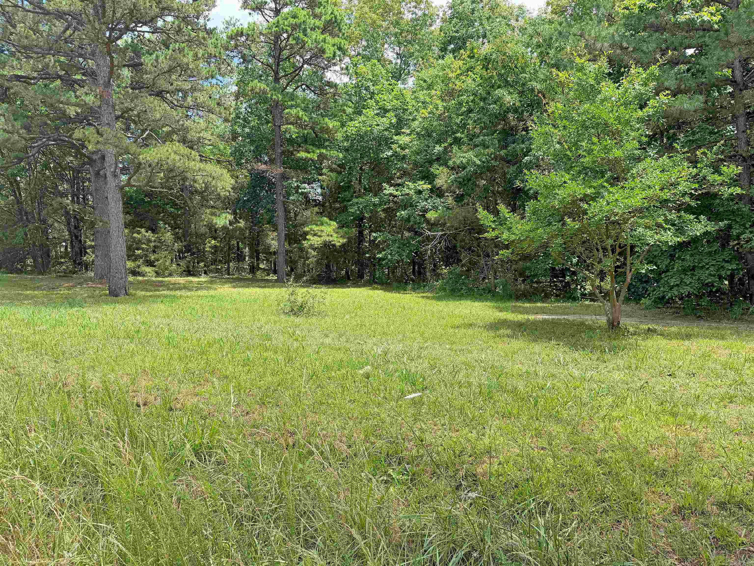 131 Doe Lane Property Photo 24