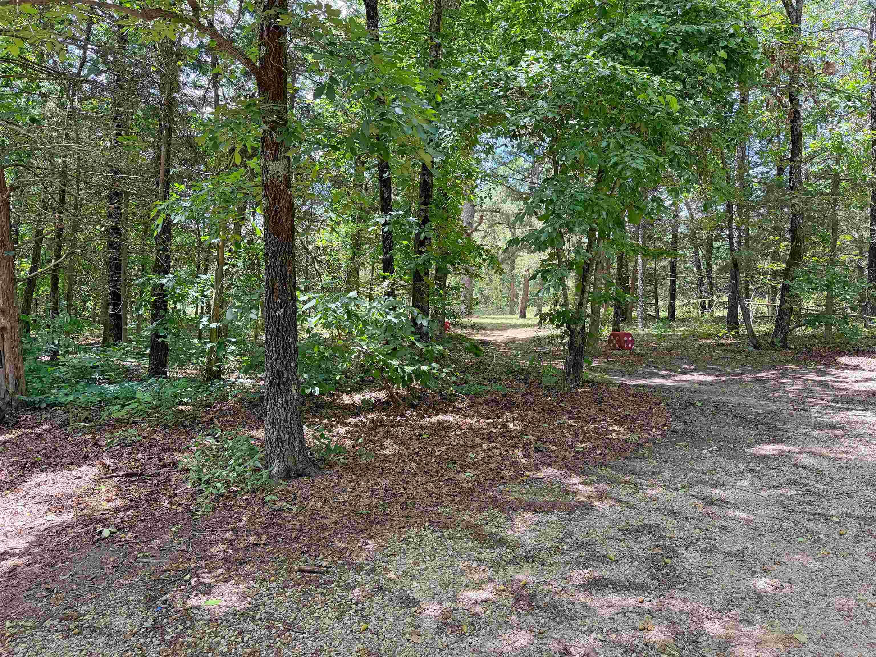 131 Doe Lane Property Photo 25
