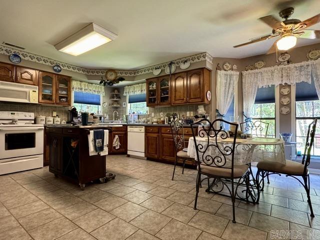 1410 Spinnenwebber Circle Property Photo 11
