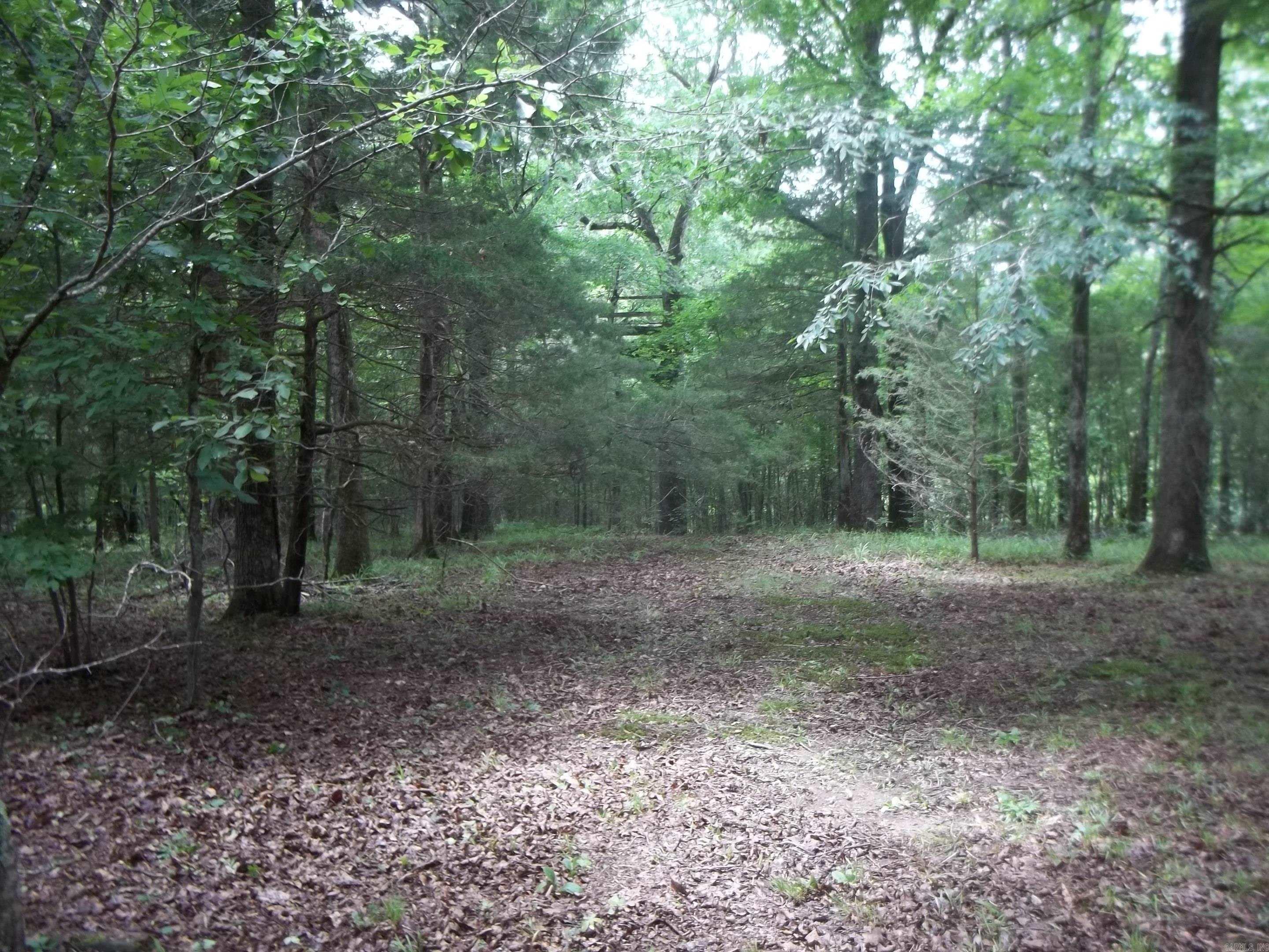 137 Shady Oaks Lane Property Photo 27
